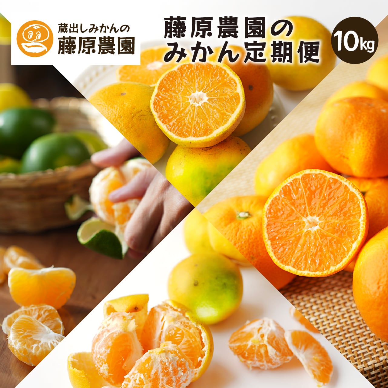 みかん・カンキツ定期便10kg｜和歌山県海南市下津町の藤原農園から旬の