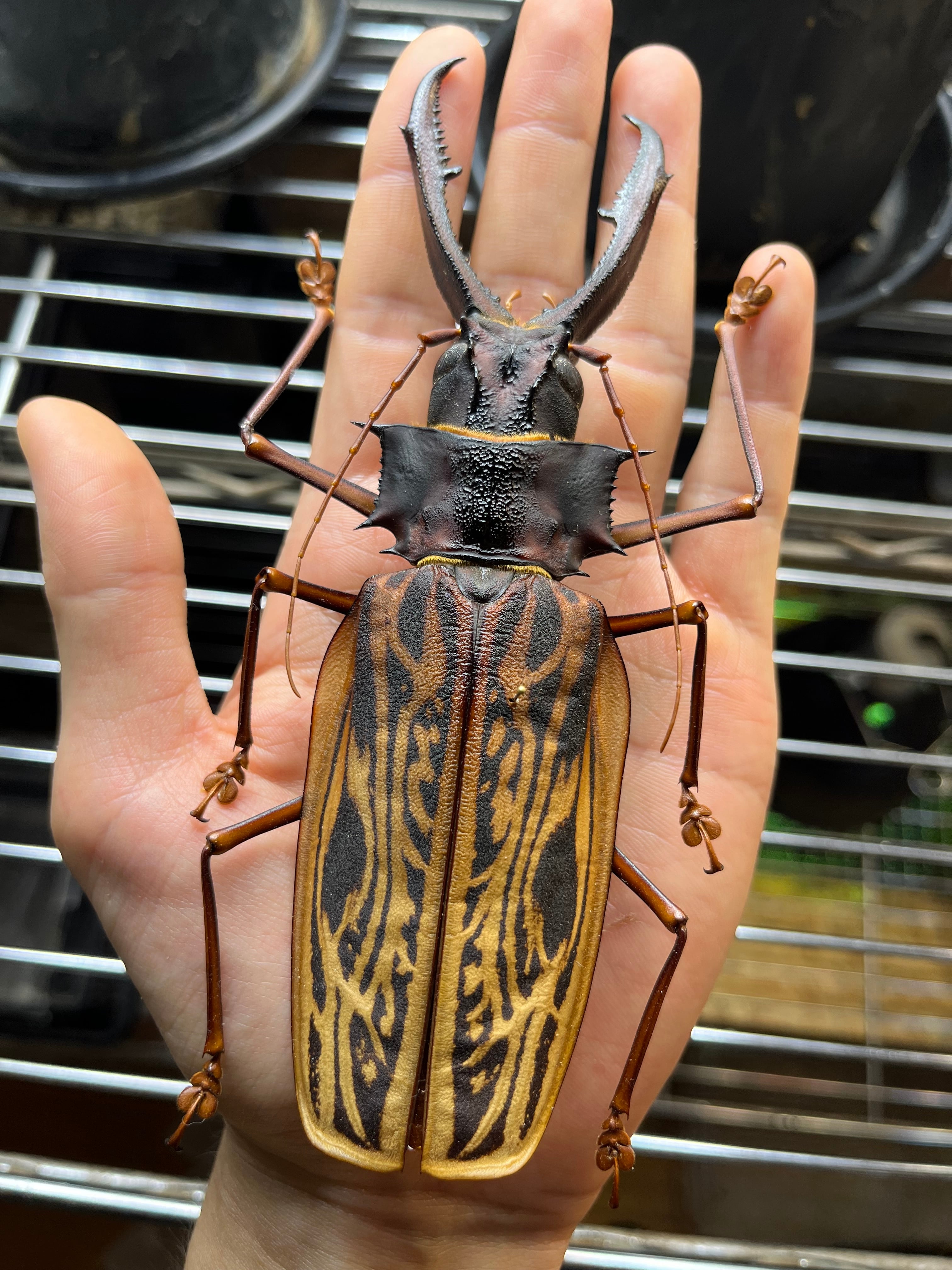 32635c906c7028e604ac2a78acddf6