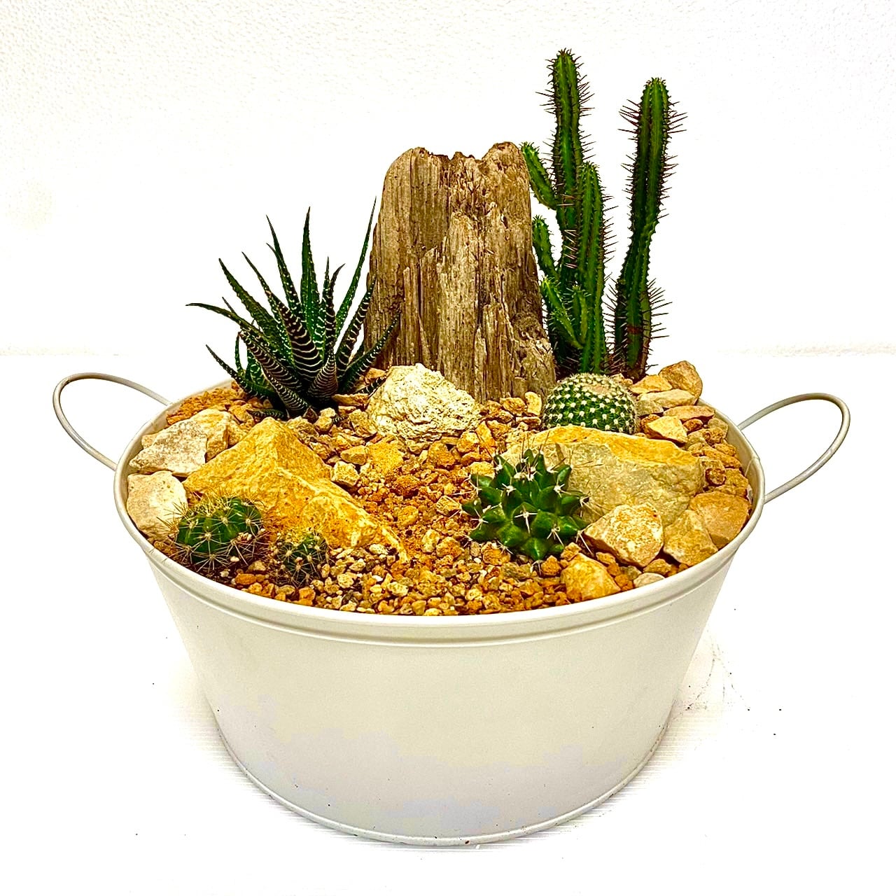 ミニドライガーデン | Pay ID