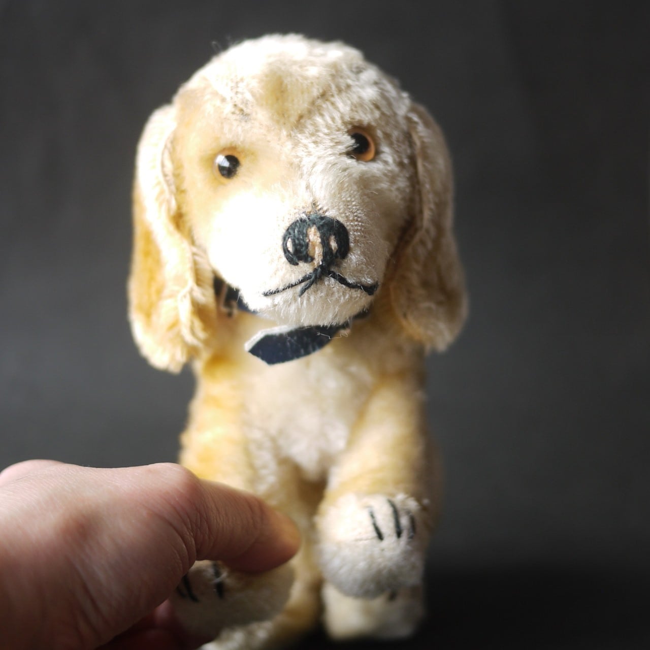 シュタイフ Bazi ダックスフント ドイツ STEIFF | こりすのパン屋Base