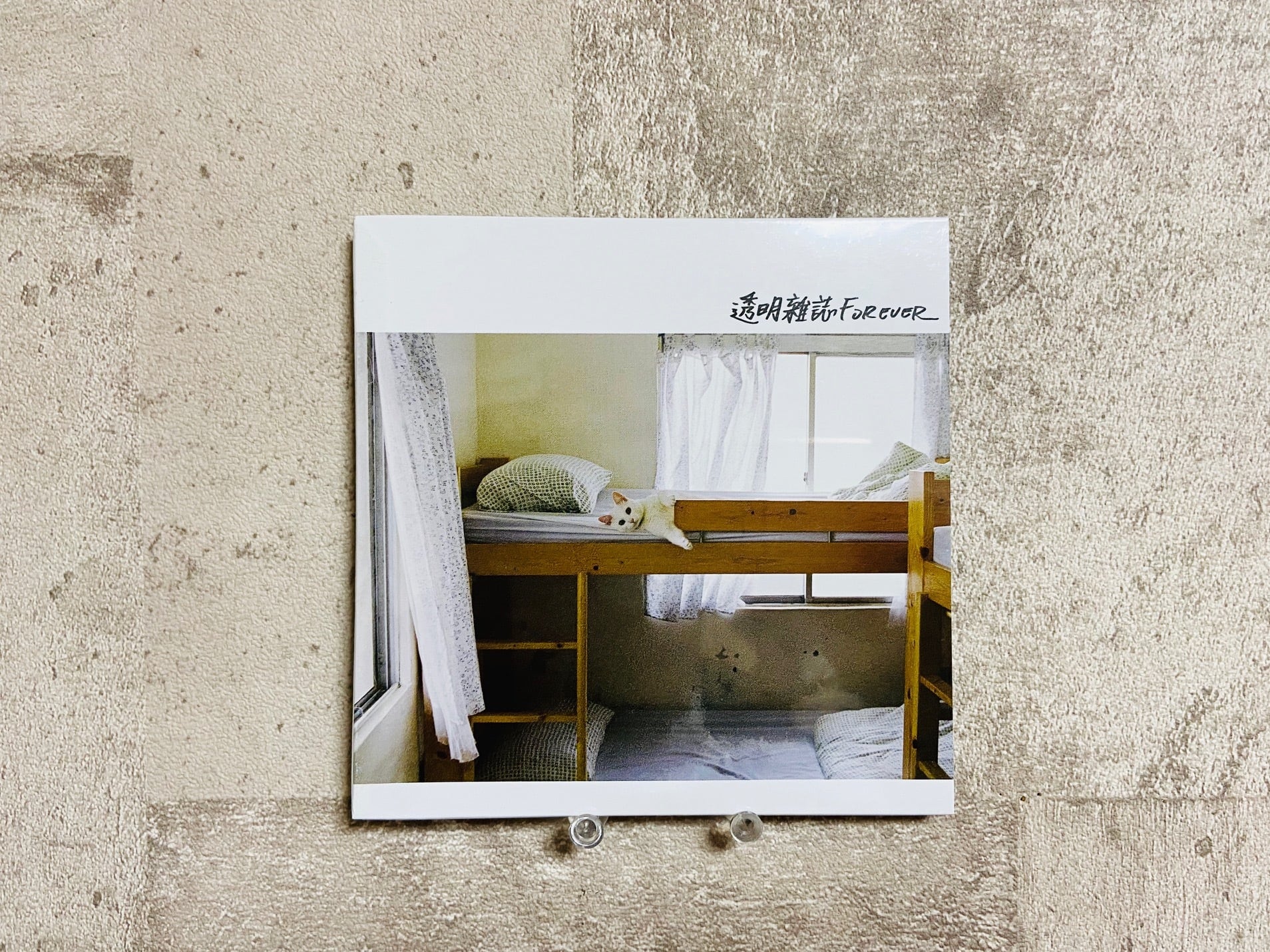 透明雑誌 / 透明雜誌FOREVER(CD/台湾盤) | HOLIDAY! RECORDS DISTRO