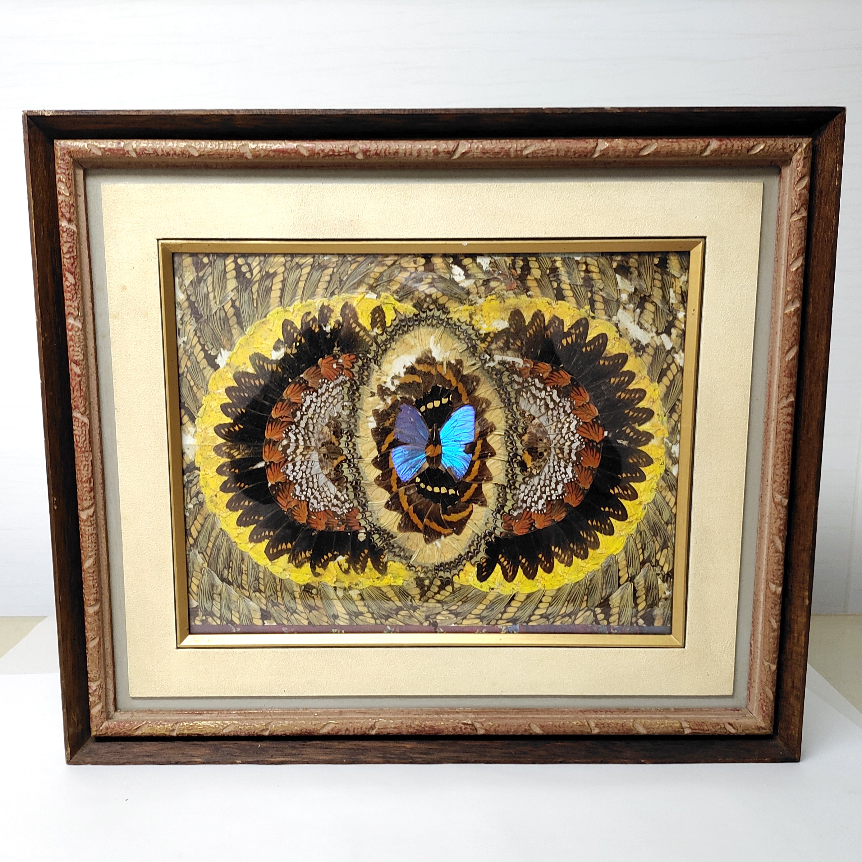 蝶画・蝶羽アート・モルフォ蝶・No.221229-08・梱包サイズ140