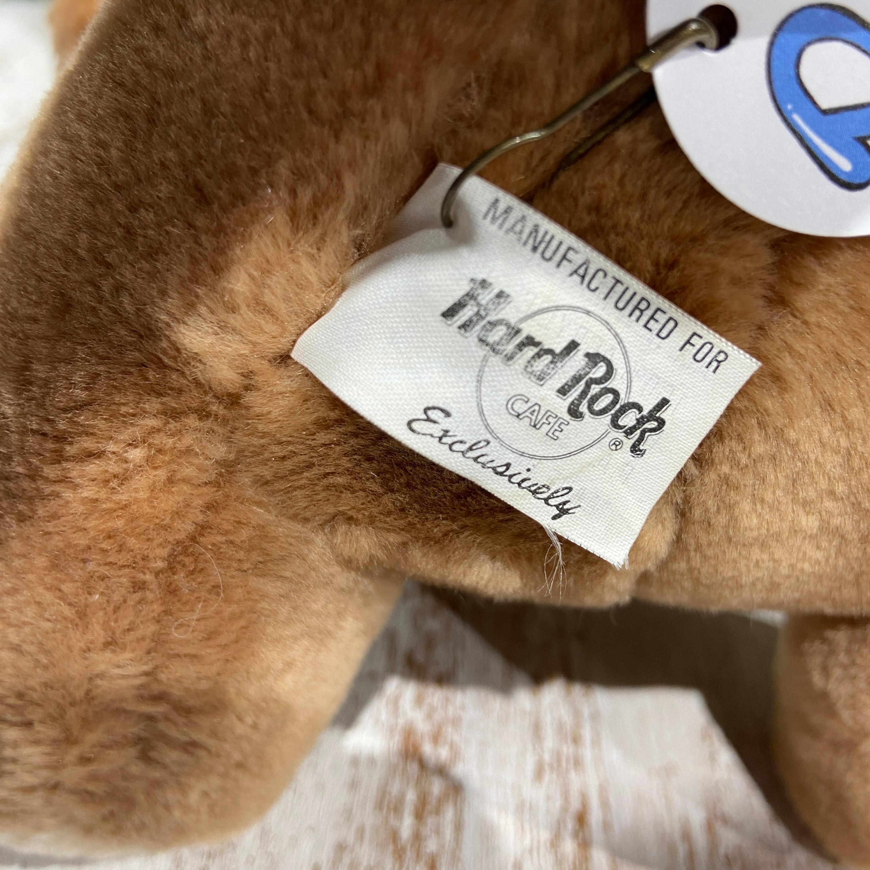 ☆ハードロックカフェベアちゃん☆HARD ROCK CAFE☆Tシャツ着てます