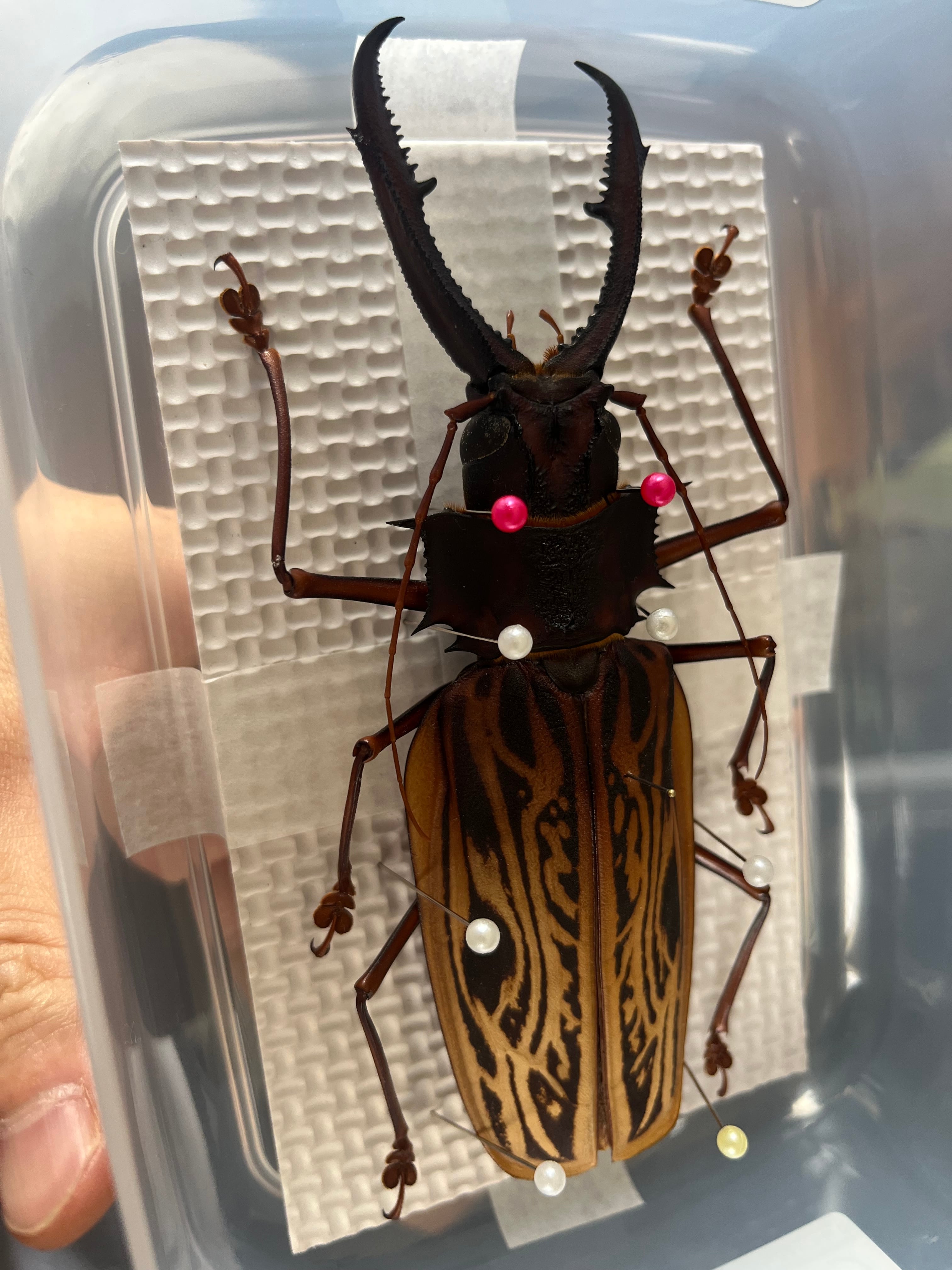 3583b91b9cb8ef2ad617562af4e290