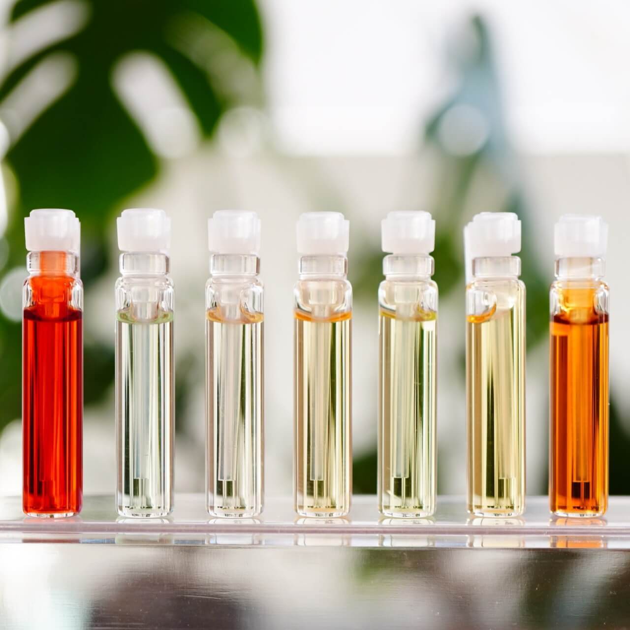 アンシェントメモリーオイル - 0.5ml 小分け |エアー・ハピネス