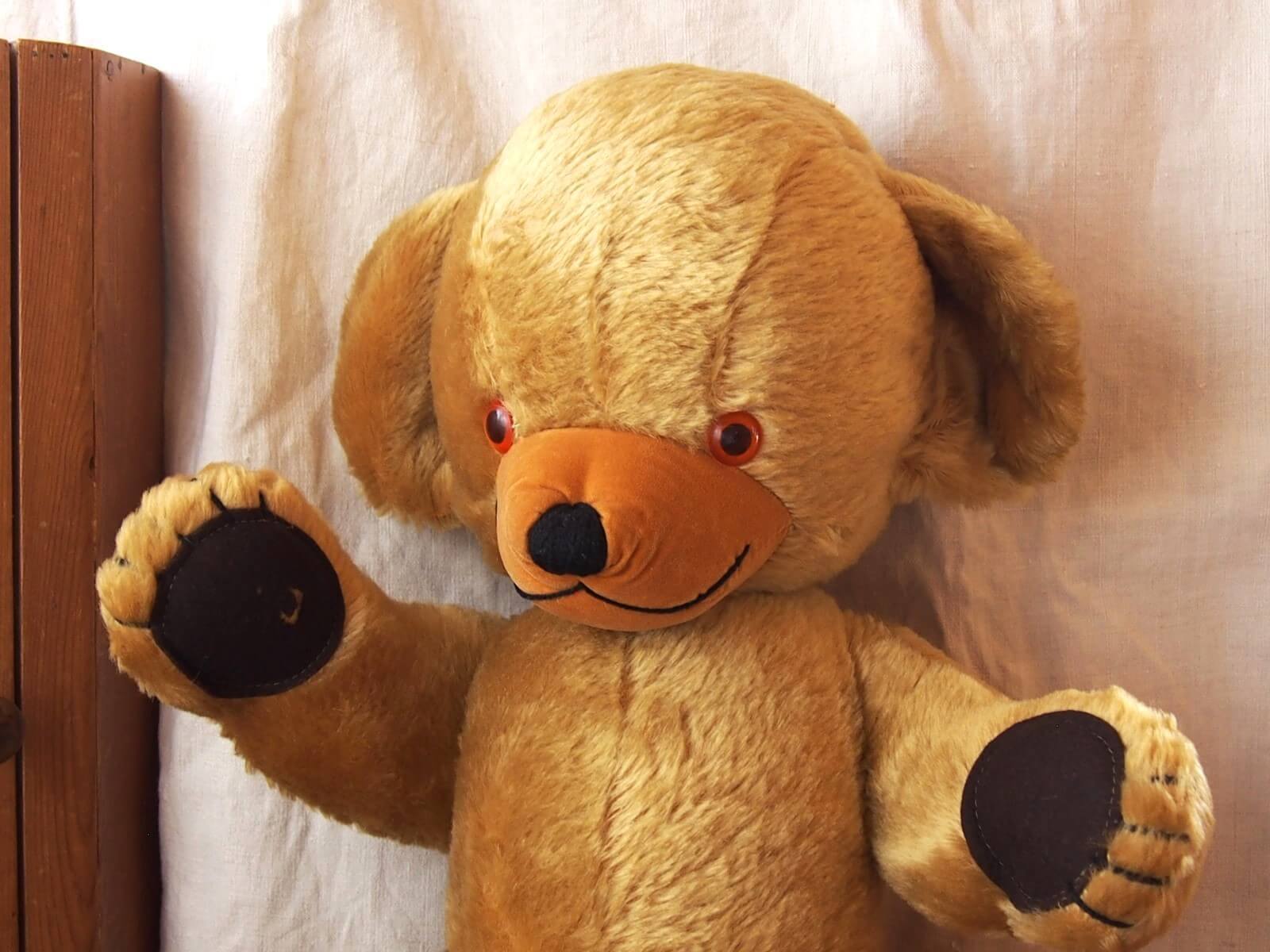 TOY & BEAR | Bonny Bee