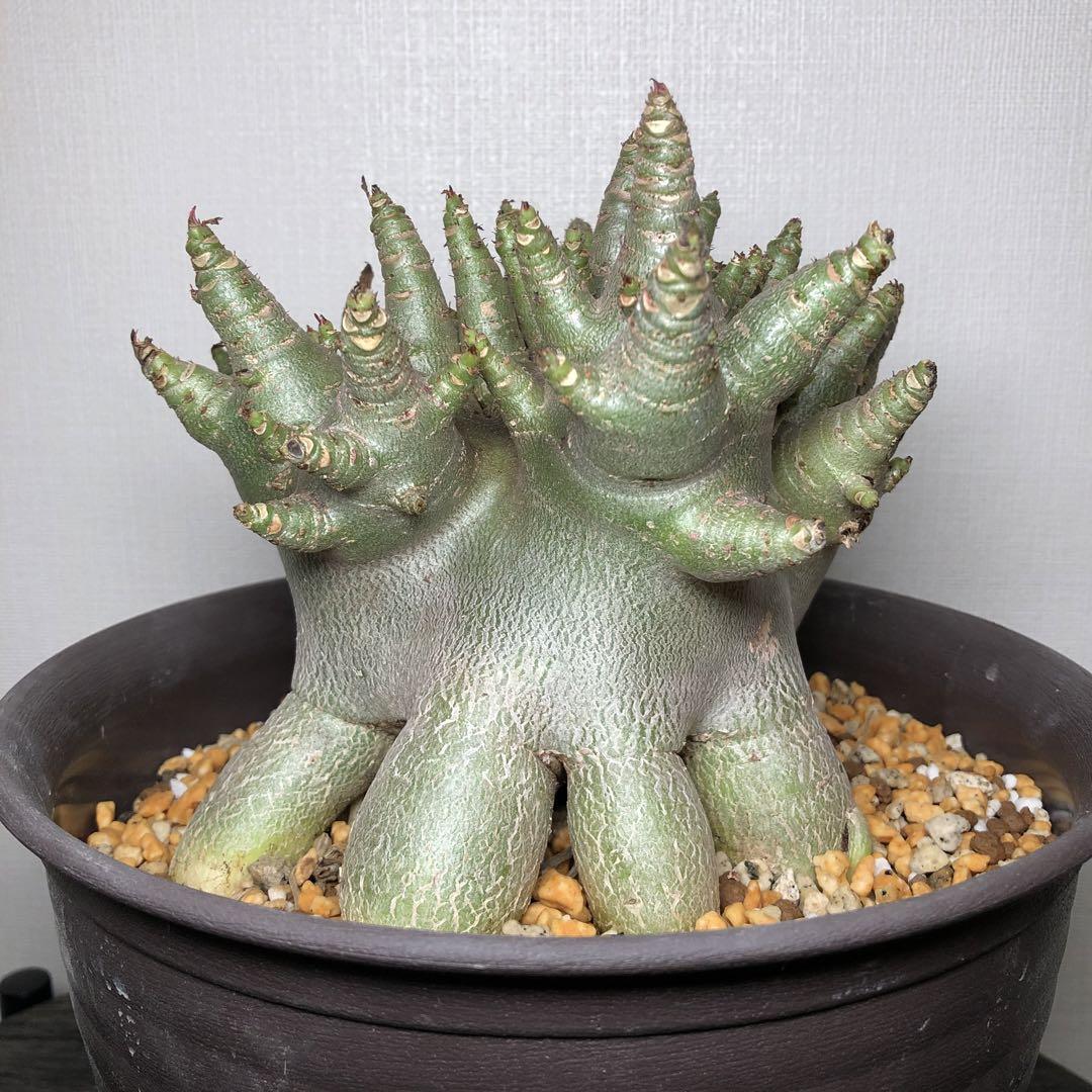 36dd6b5292d206aff6cb3dccd56c22