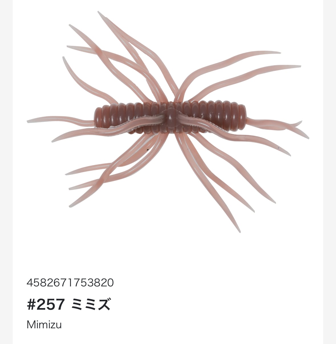 コイケサンダー | TRIBE NETSTORE