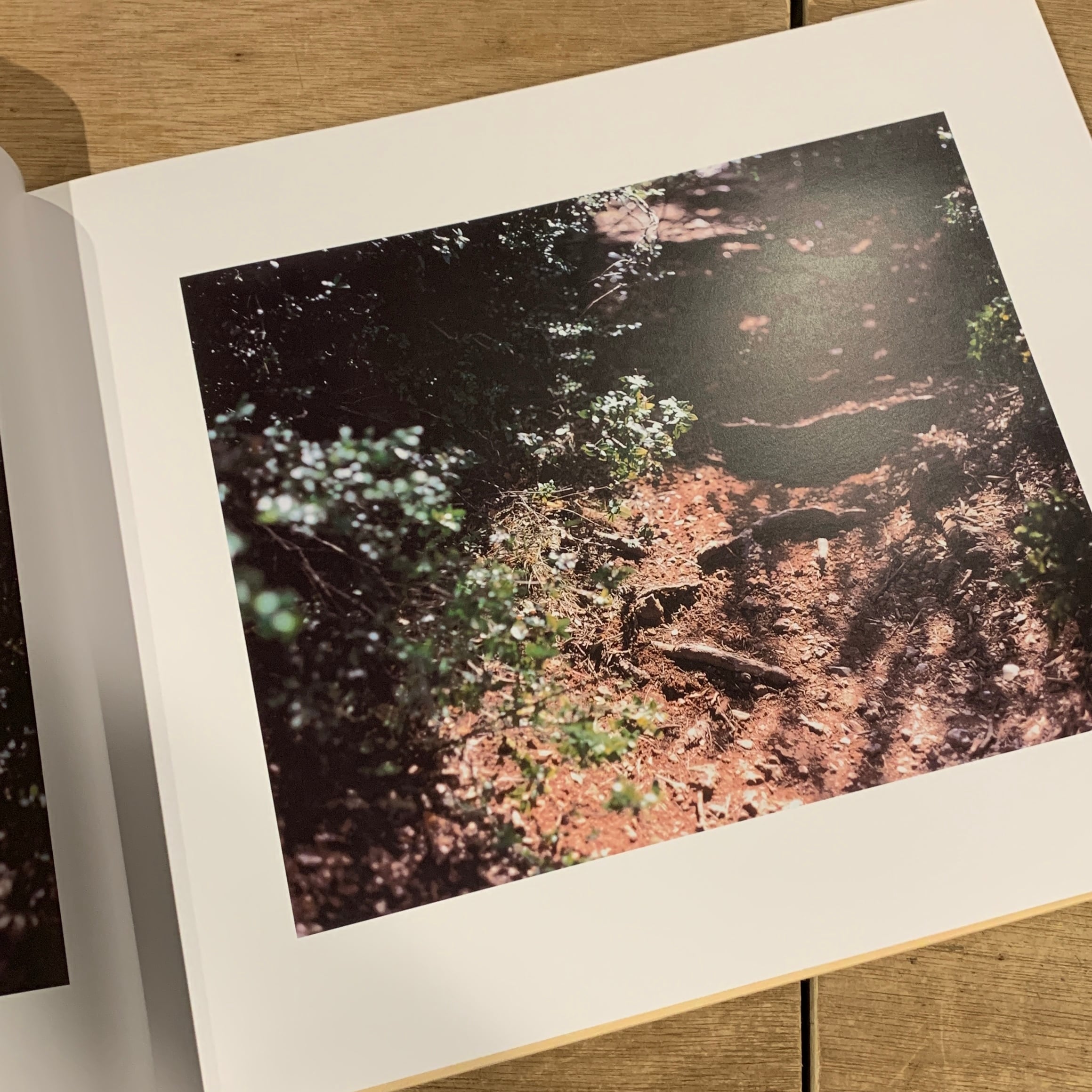 Mont Sainte Victoire Risaku Suzuki / 鈴木理策 | 百年