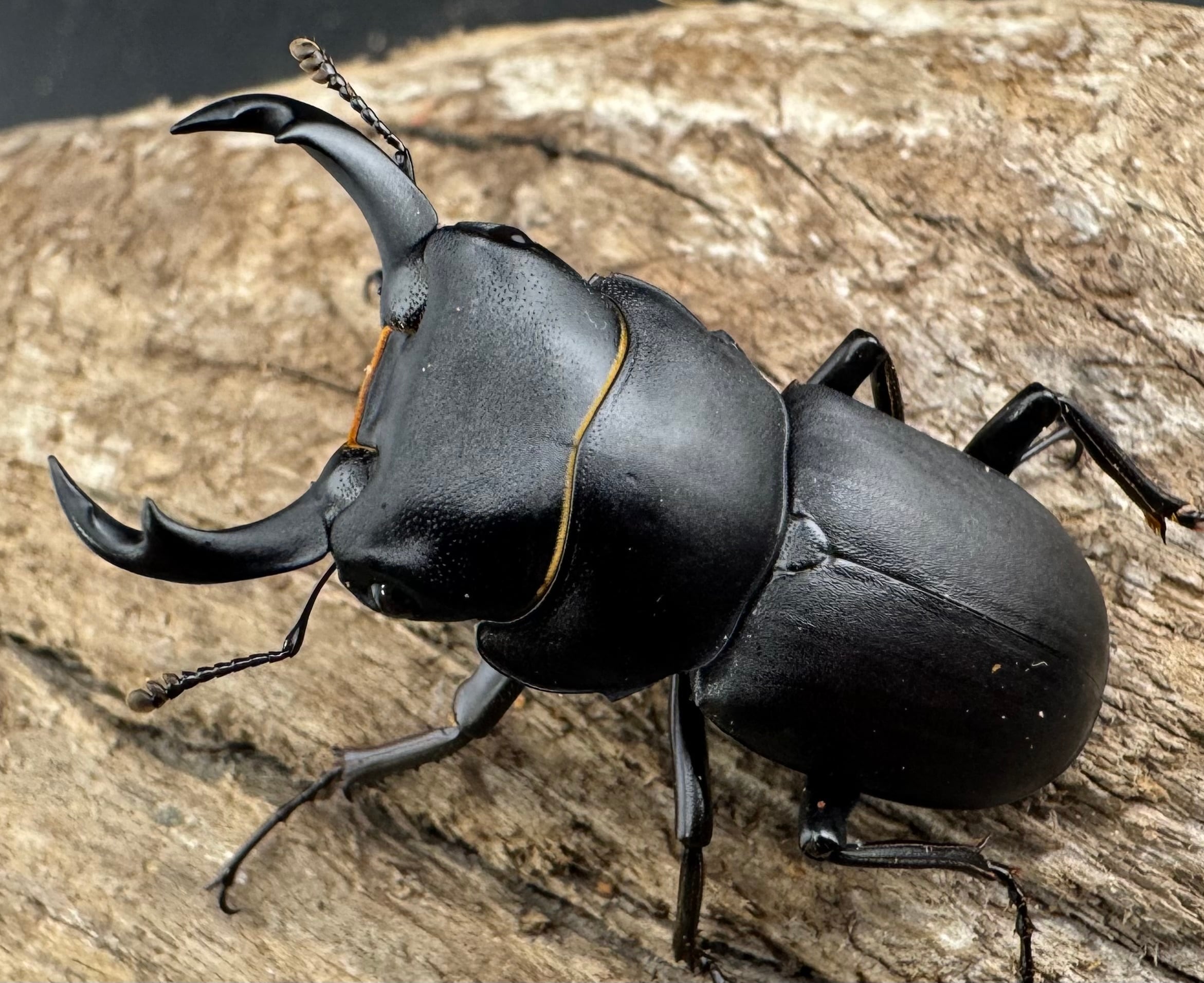 3893de72d5c8c090c949190a649a50