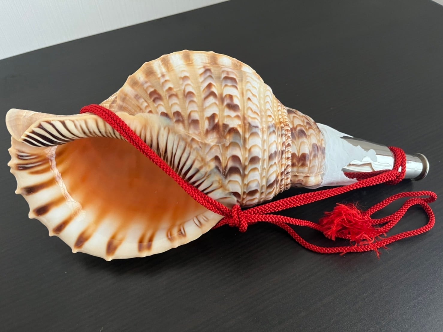 2024 ①法螺貝・ホラガイ・ほらがい・山伏約 43．0cm・1