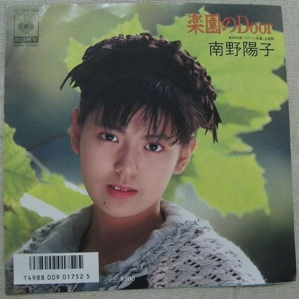 ☆南野陽子 / 楽園のDoor | soul respect records
