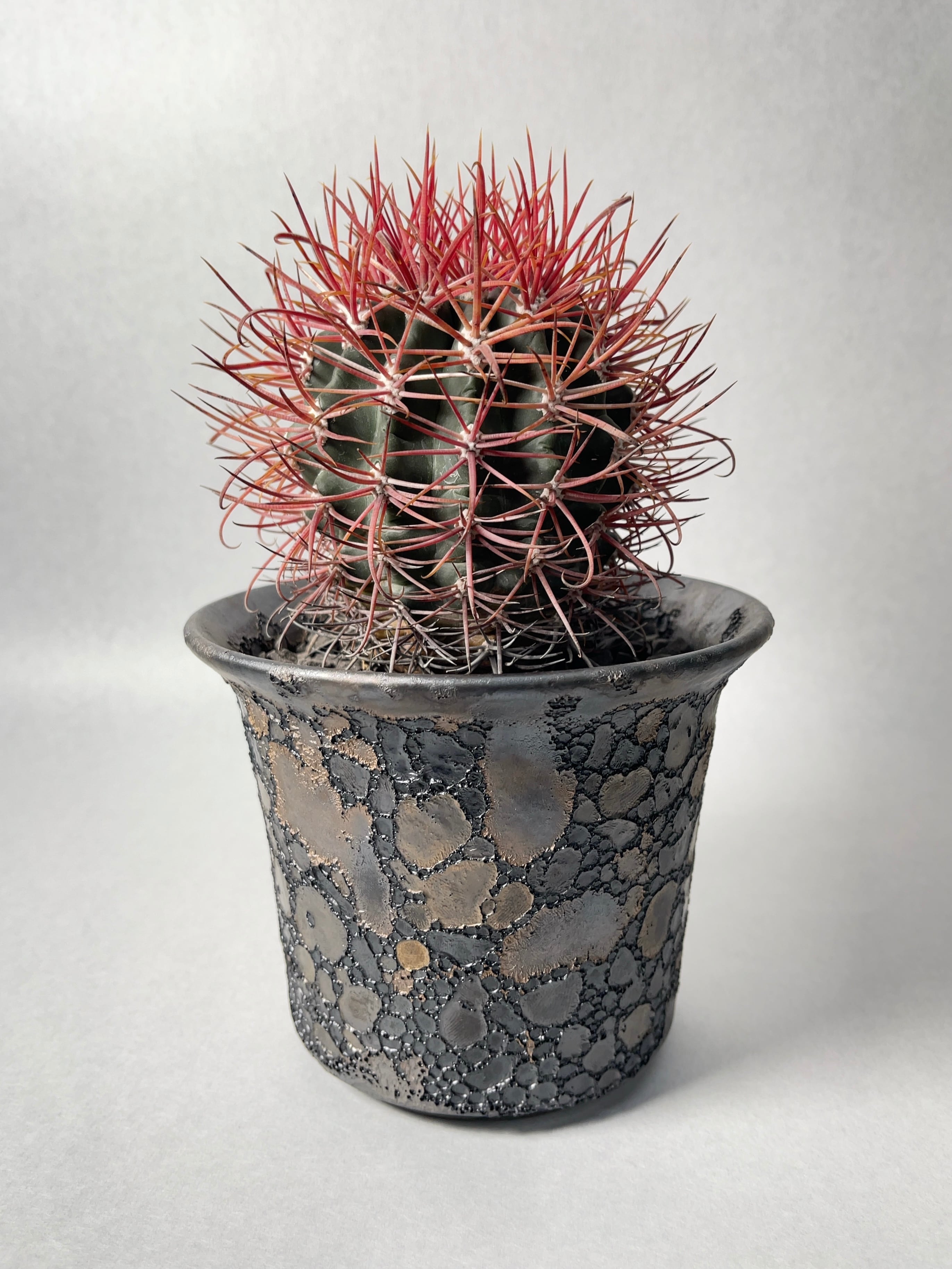 中川智治×trigger】赤刺金冠竜 | trigger