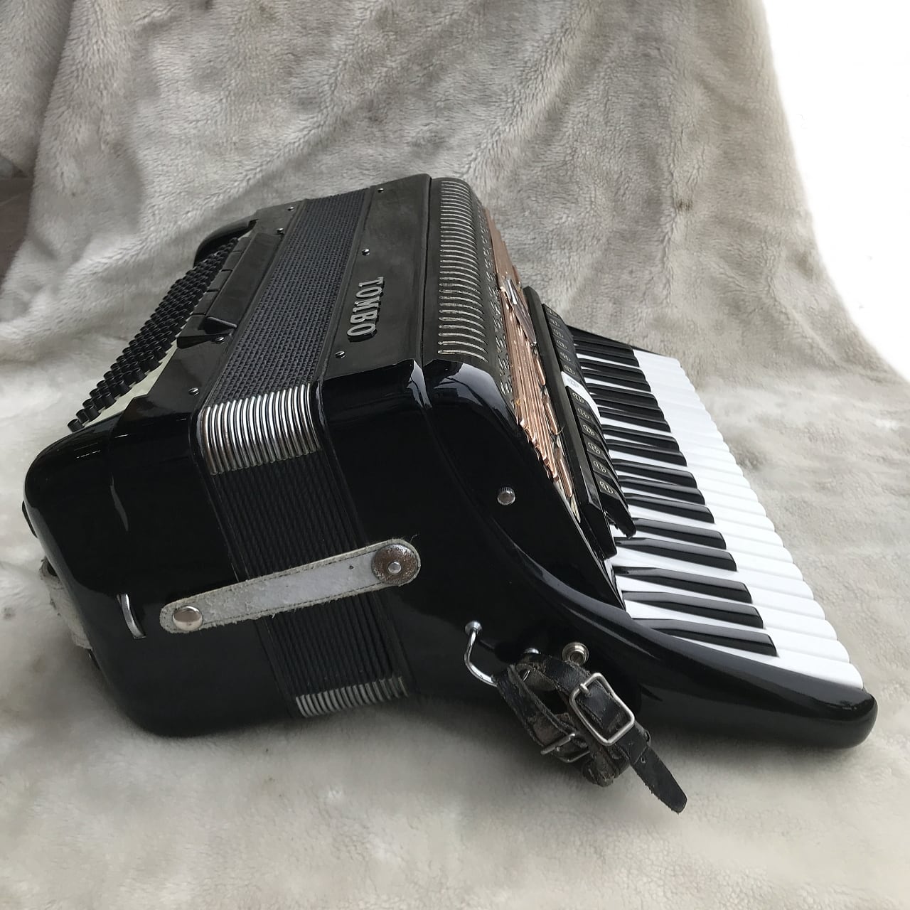 TOMBO T-120D ACCORDION | MUSICSHOP BOB