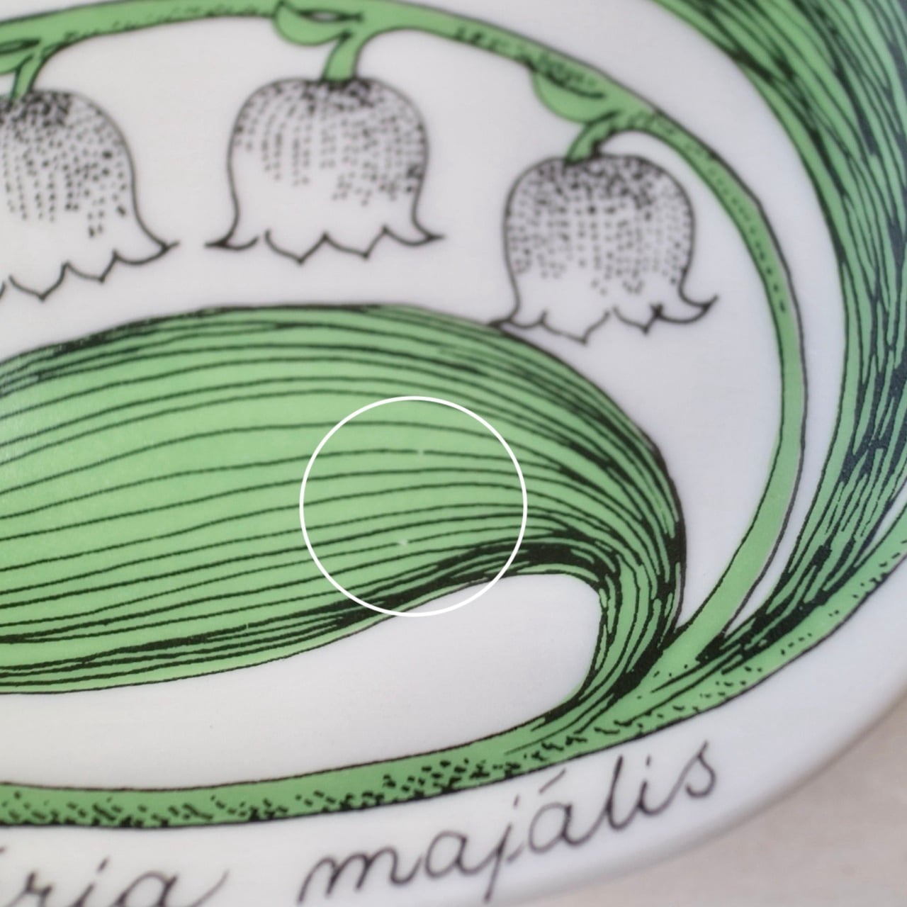 3cff1b97a6345bfc4d5c31ddba06a2