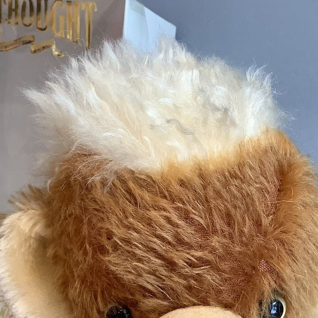 メリーソート ビープス・アンセスター・オブ・チーキー | クルブニーカ