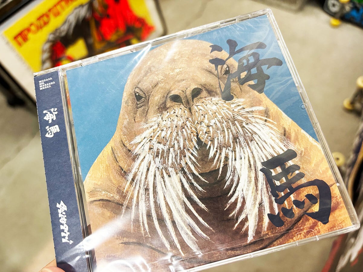 ミニマムジーク/Fuzzy CD | GAIN GROUND