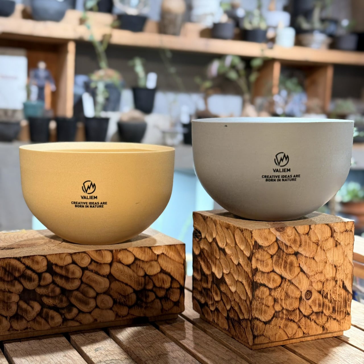 3e35c8cb8dbbccfff3507ceb664755