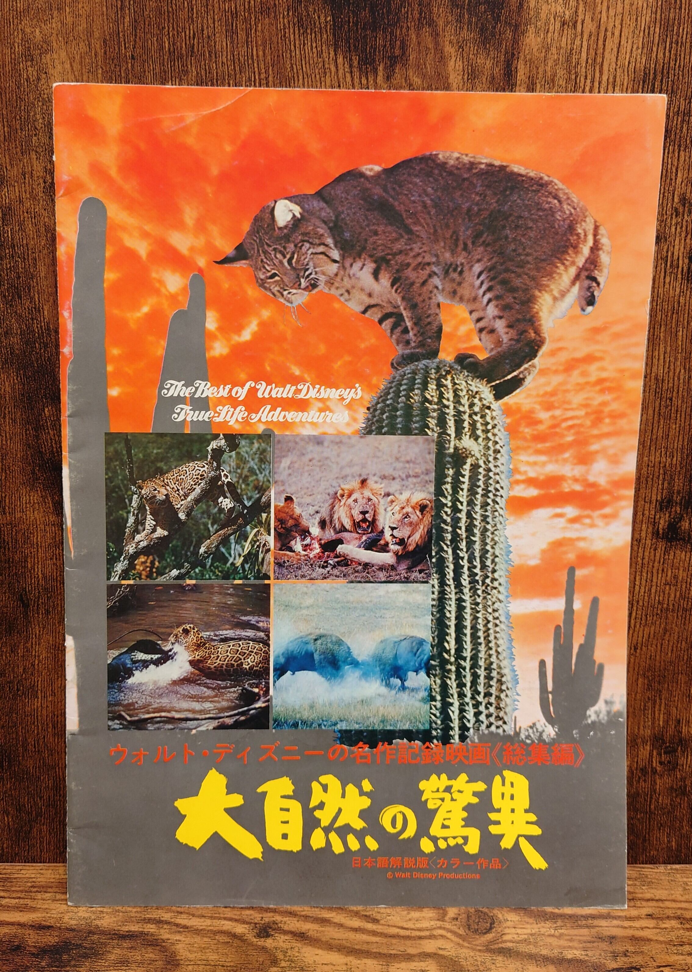 アメリカン・サイコ映画パンフレット（ガーデンシネマ・イクスプレス74