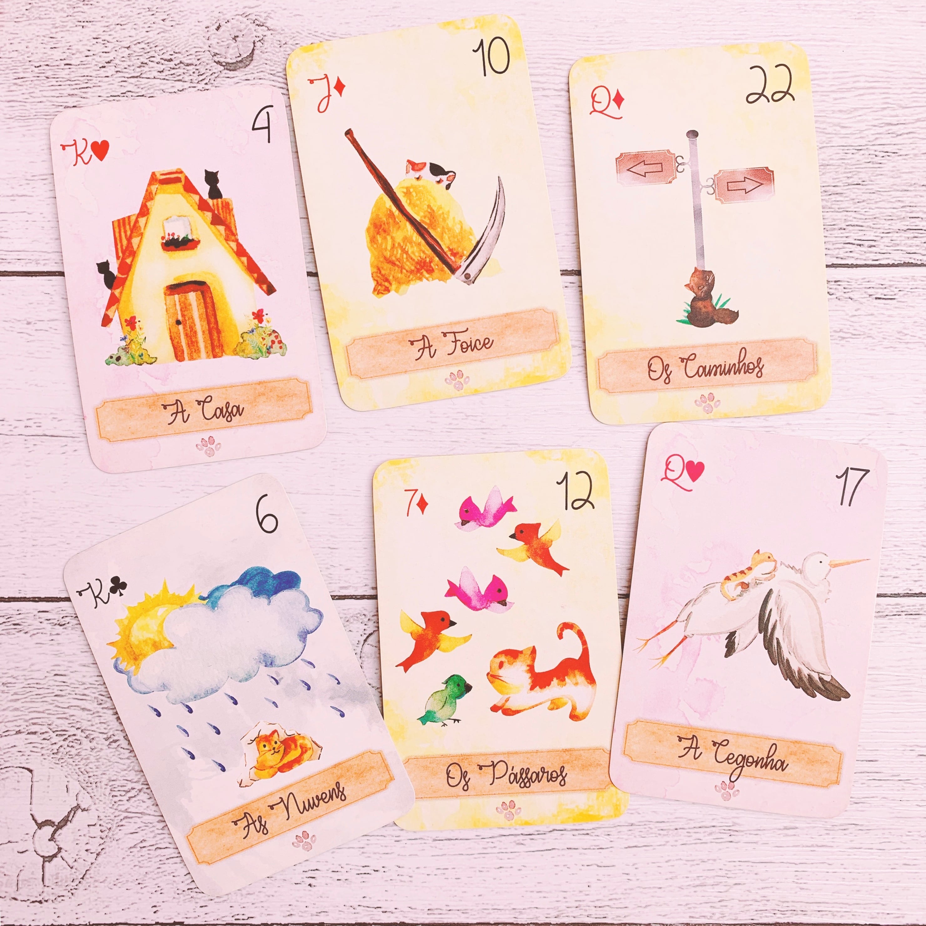 キャットルノルマン | クリスタルローズビューティ