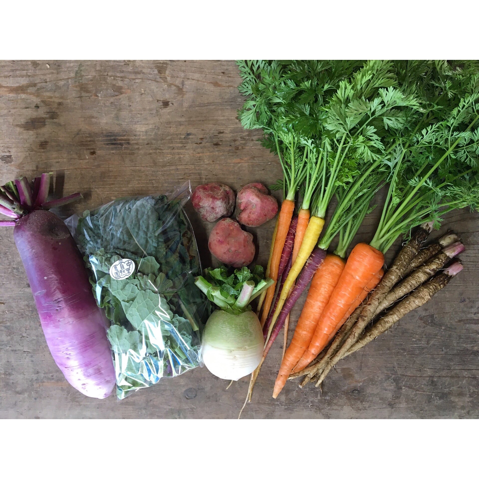 季節のお野菜便 ーミニサイズー ／ Seasonal Vegetable Mix ーmini