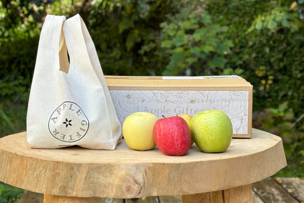 りんご出品 りんご 専用 りんご・専用シ2×3 りんご様 りんご様 ZX