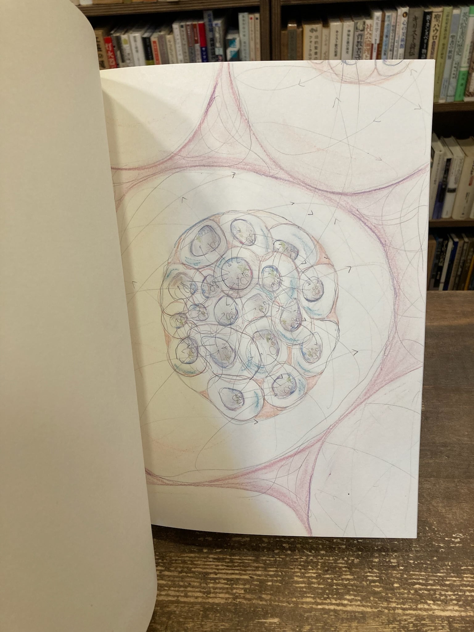 洋書美術書籍 モリ.マリコDREAM TEMPLEドリーム.テンプル