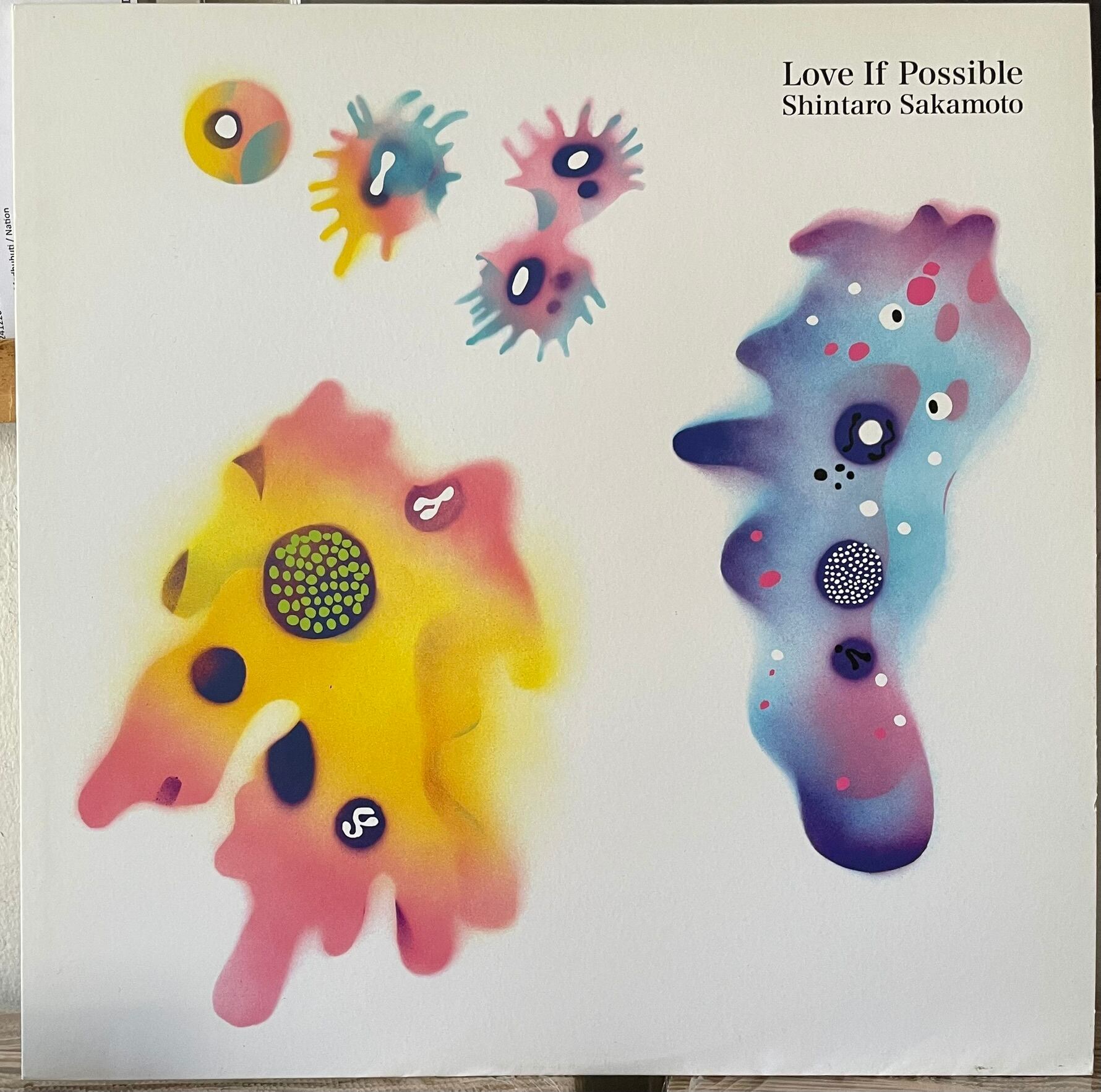 Shintaro Sakamoto(坂本慎太郎) 