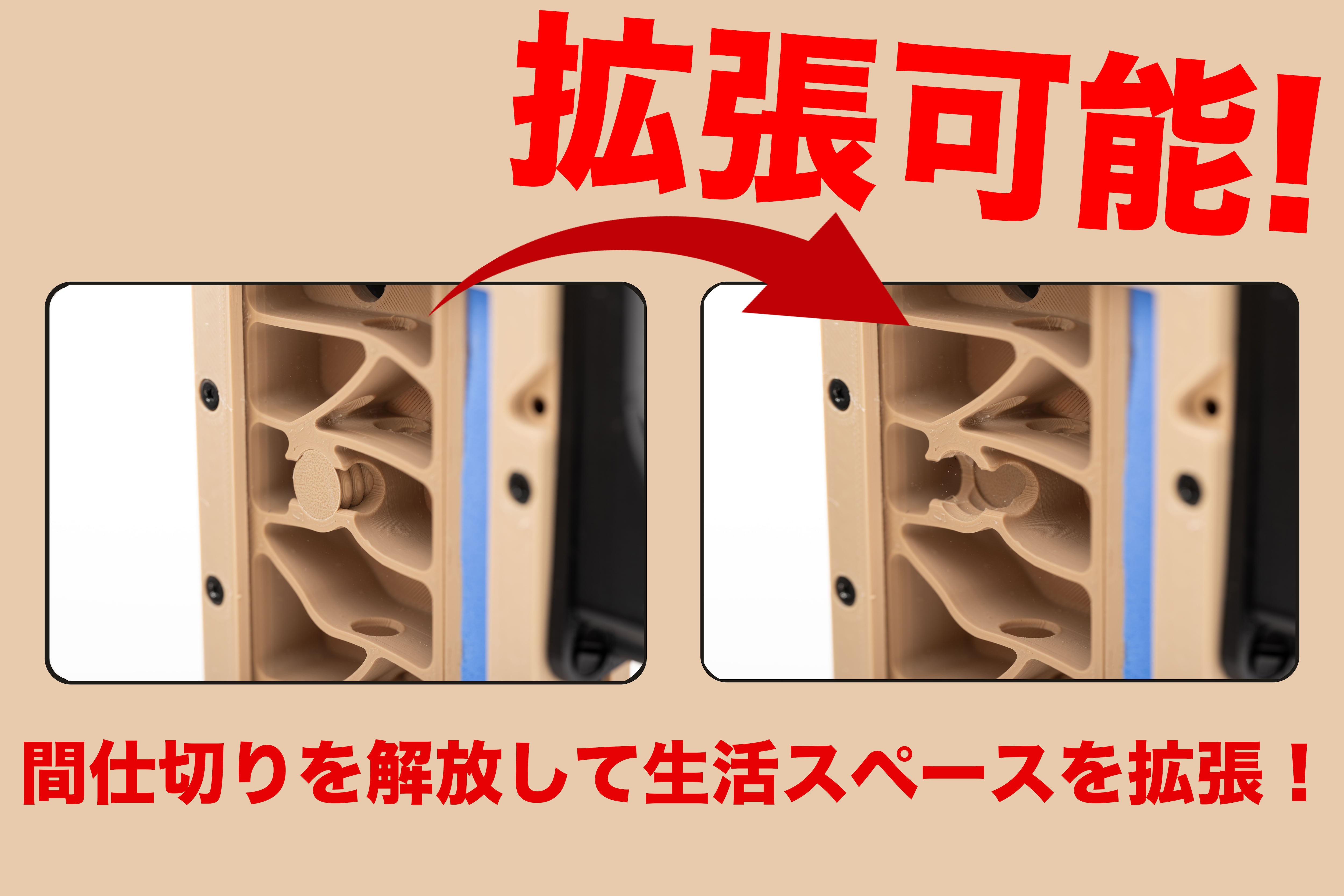 Ant case NEXST(セット) | ANT STREET MARKET / アリ販売店