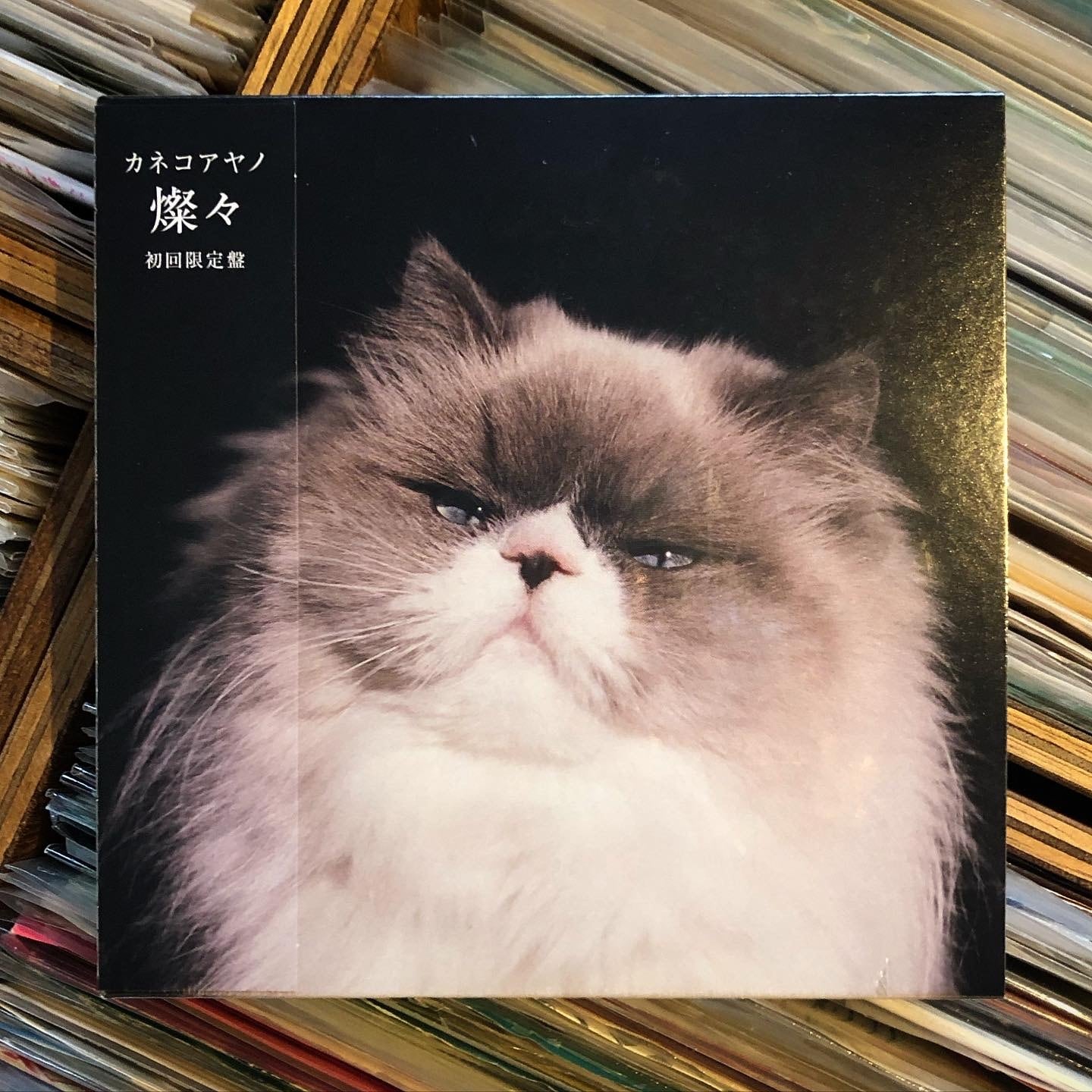 a7e21f61192cfb7aad41ff7c84bb23