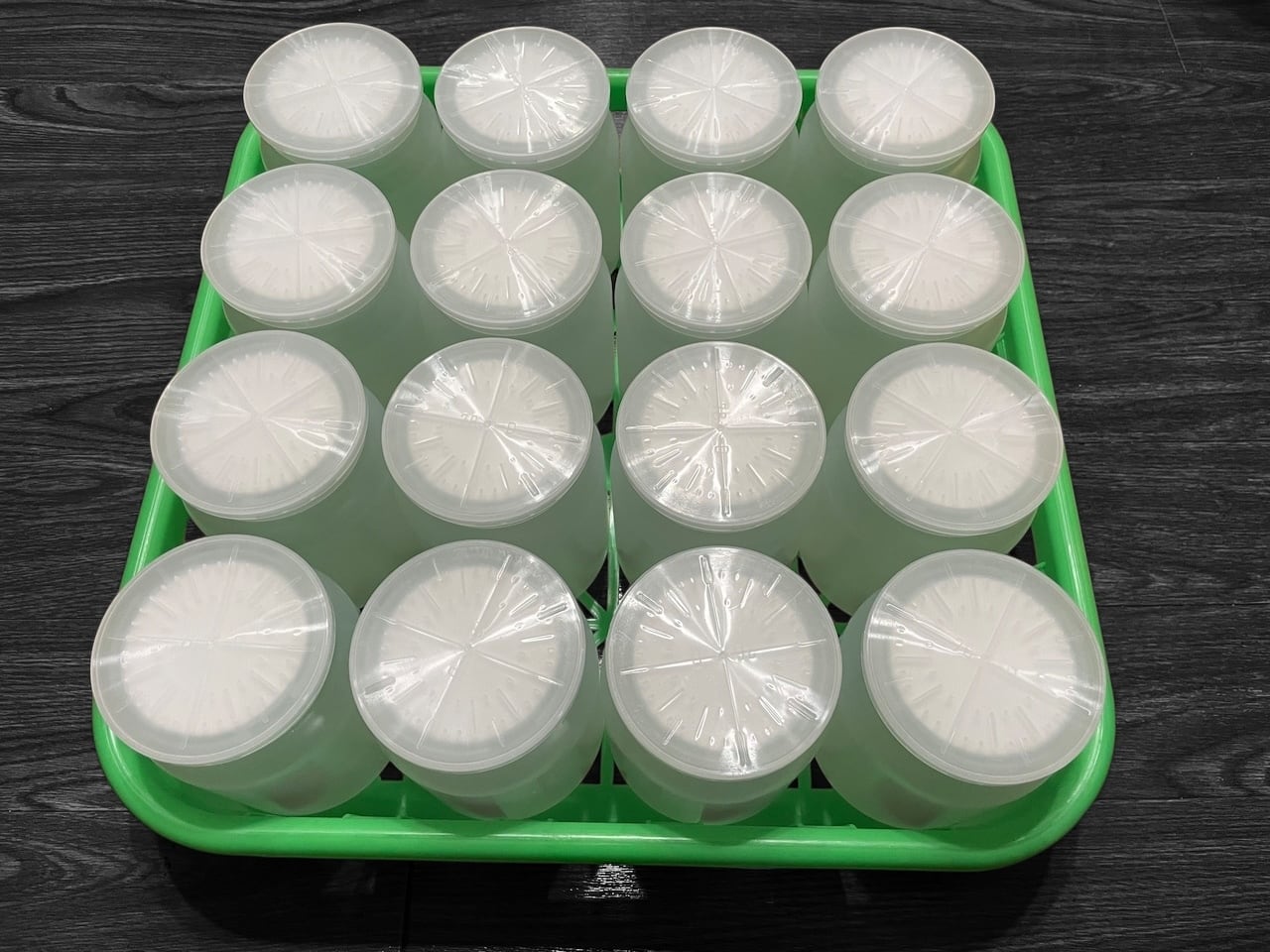 コンテナ 800cc×16本タイプ | KPW公式オンラインショップ