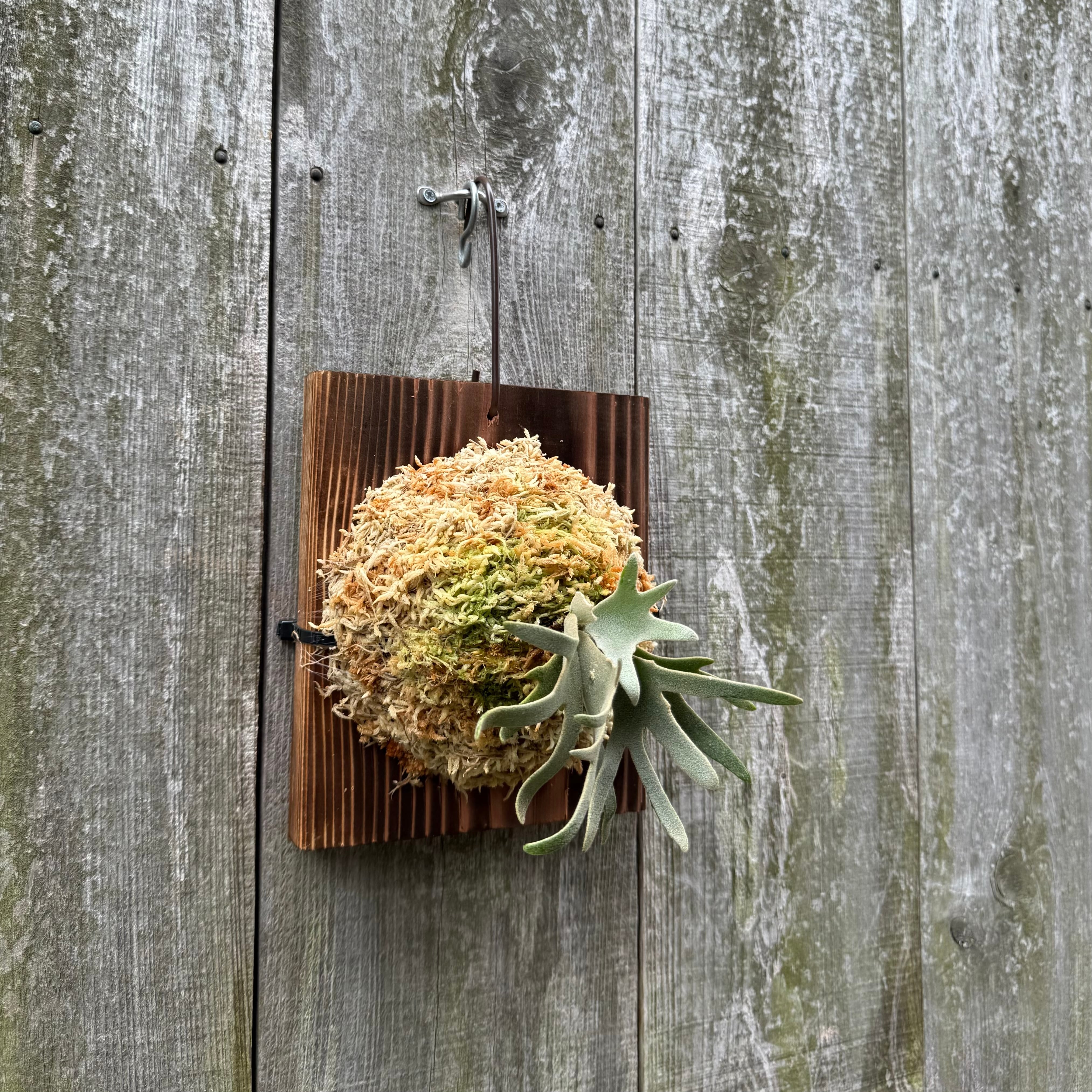 a5ada2645dfa1624cf00d1db1b042f