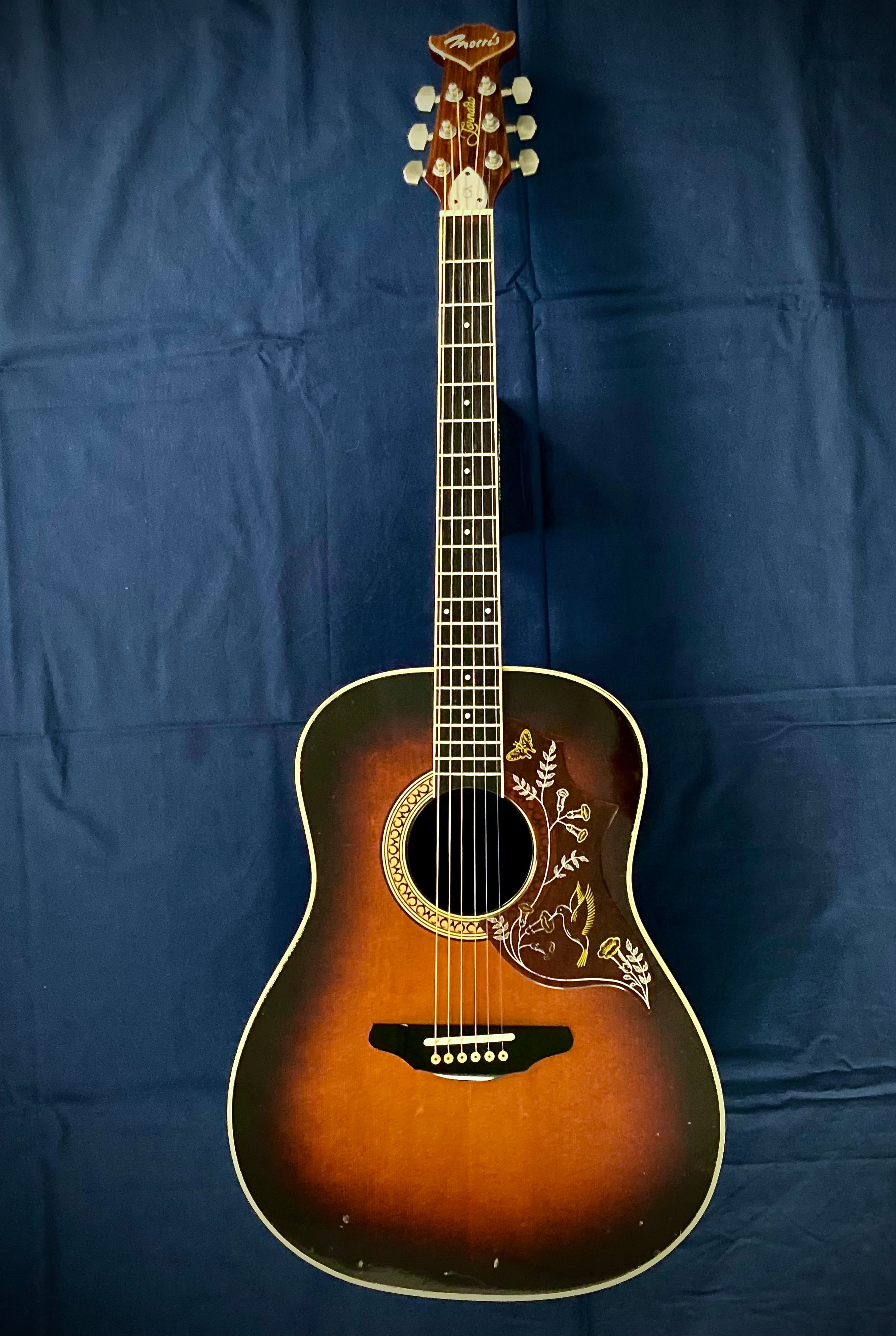 モーリス ( Morris ) TORNADO GXD 1984 Gseries スプルース単板TOP