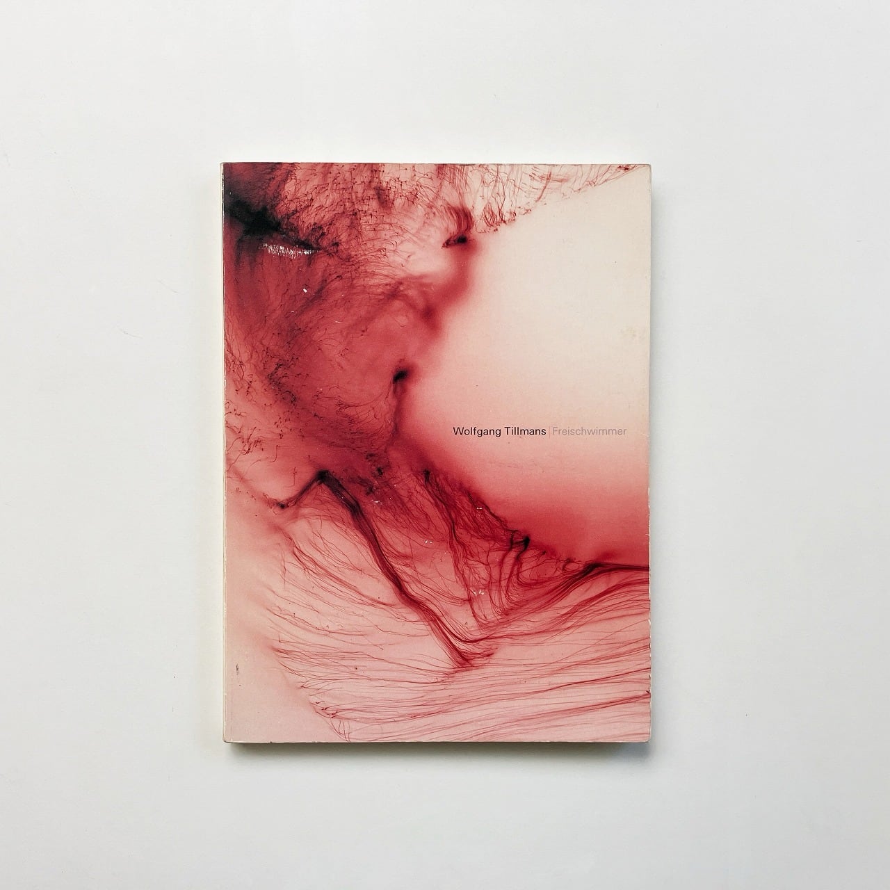 ヴォルフガング・ティルマンス Wolfgang Tillmans | Freischwimmer