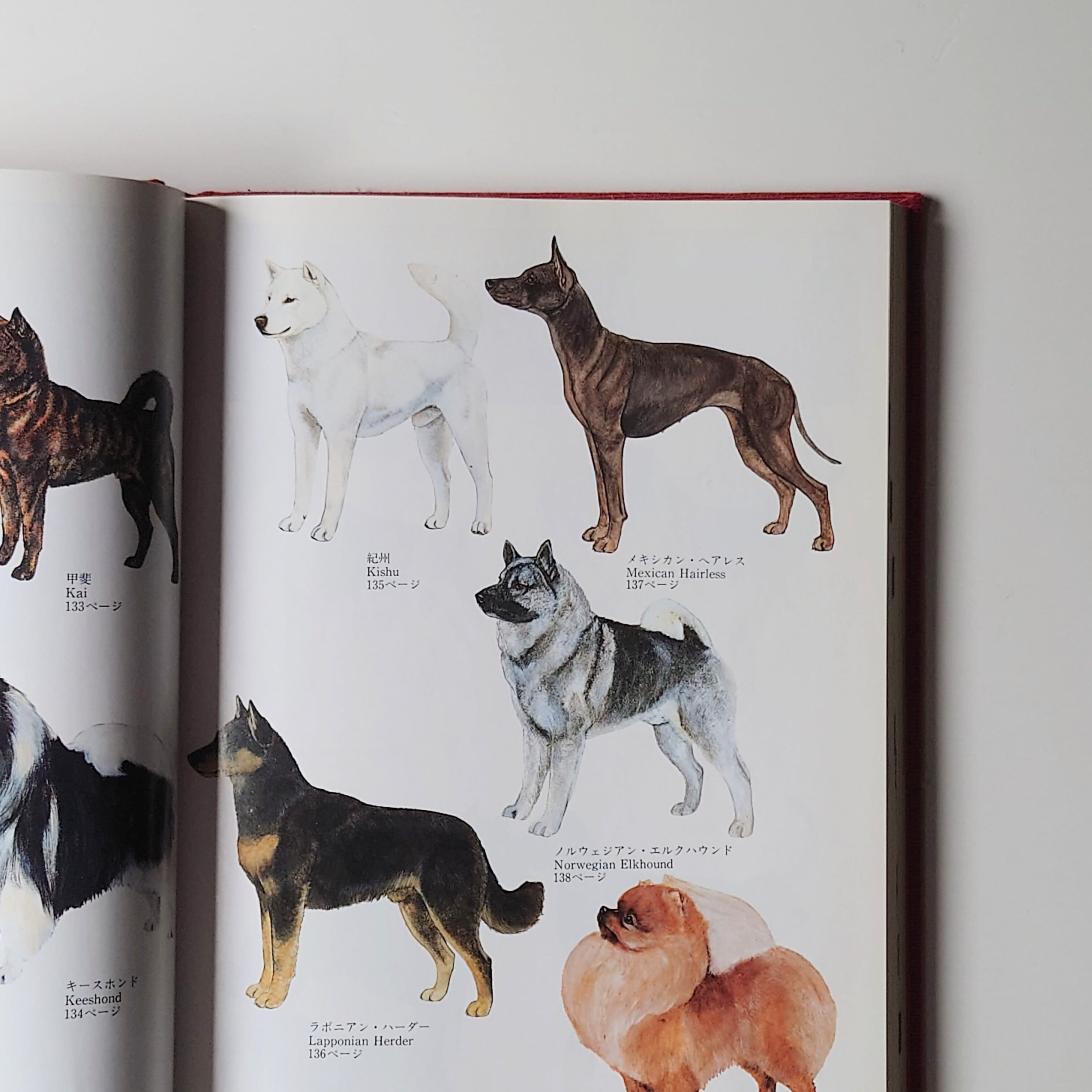 JKC 全犬種標準書第9版 | イヌグラシ