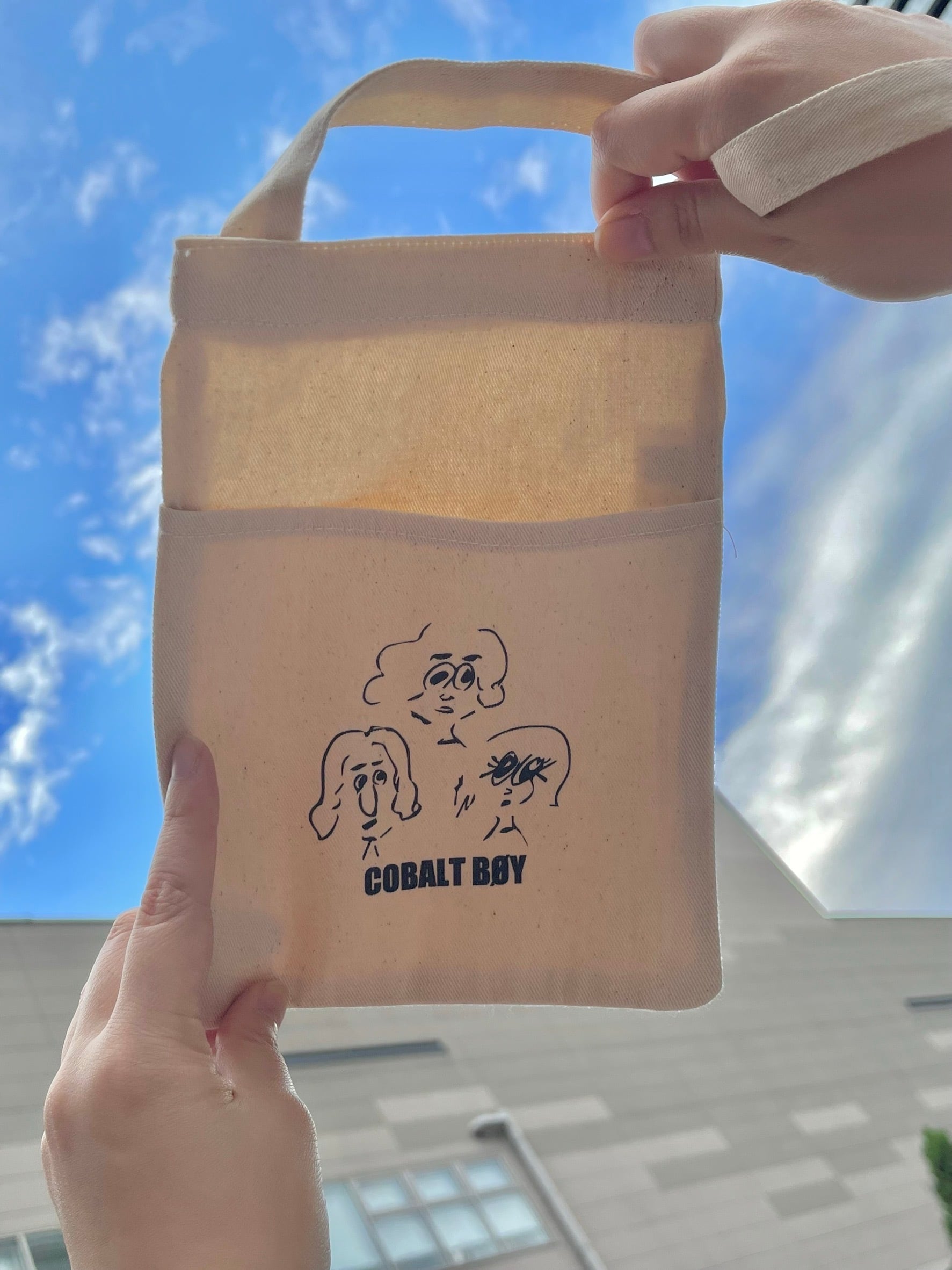 Cobalt boy official shop