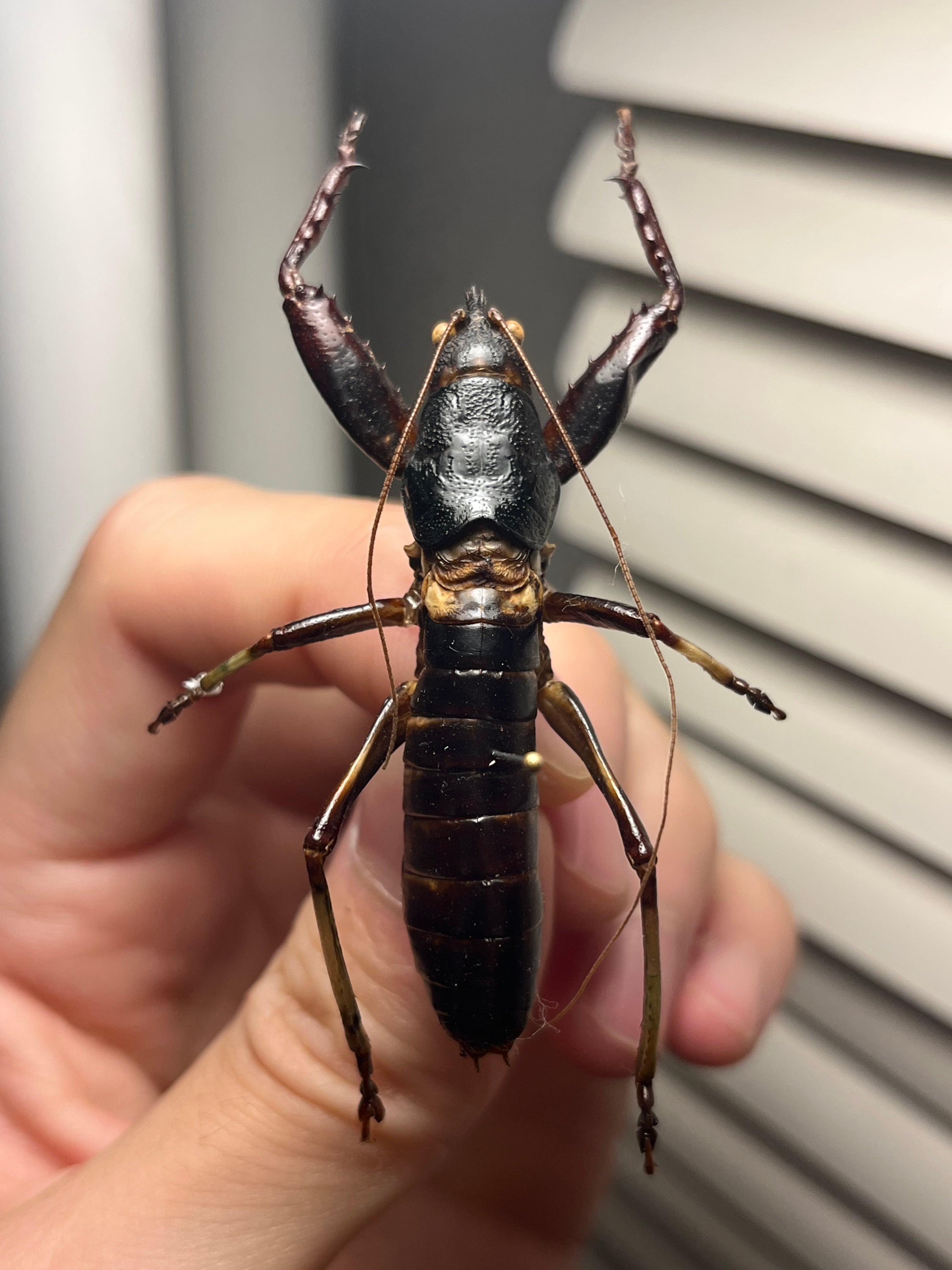 a87d9ed200da36aa085b423e8ac963