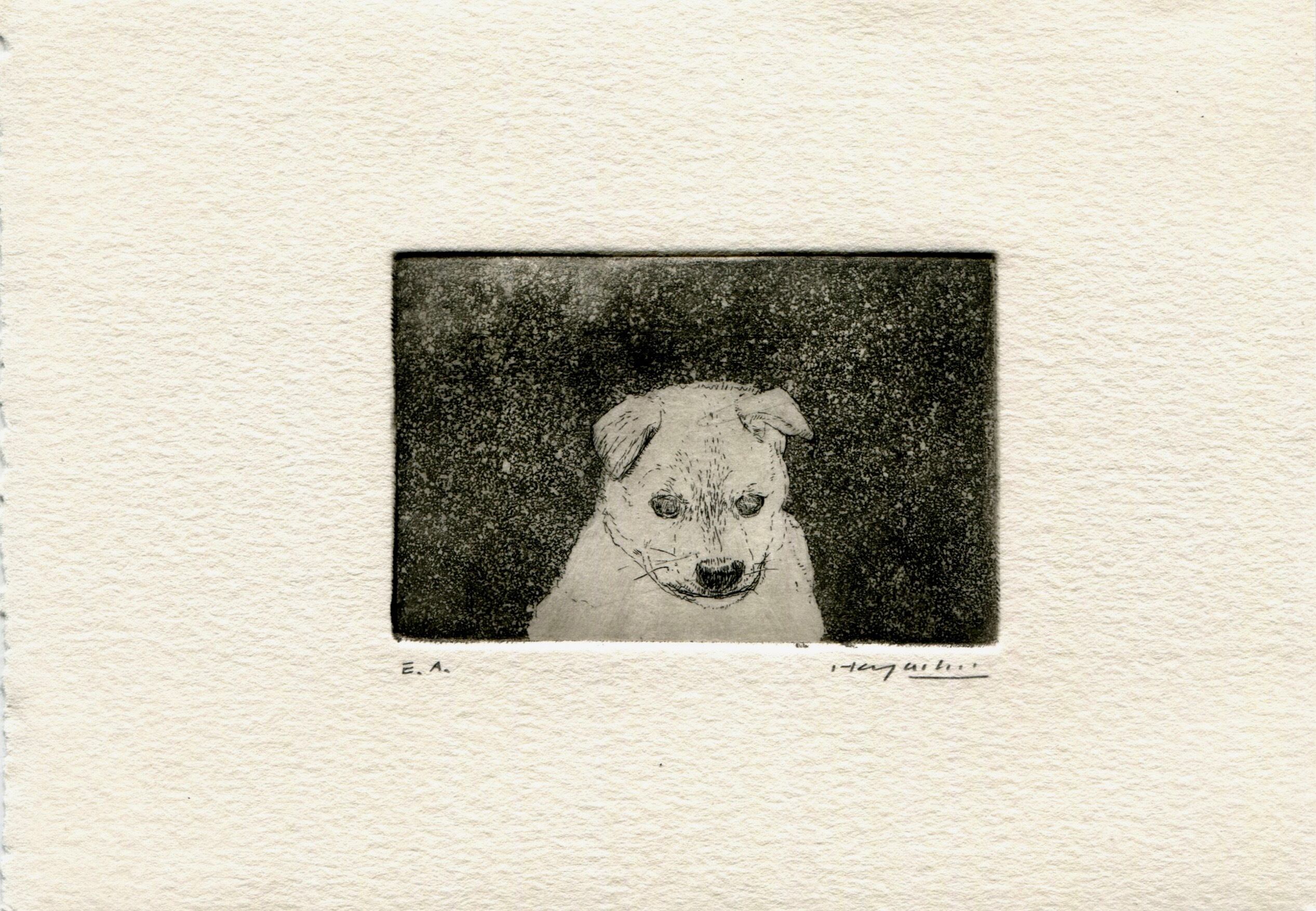 銅版画：子犬 手彩色』 | TH works by 林 哲夫