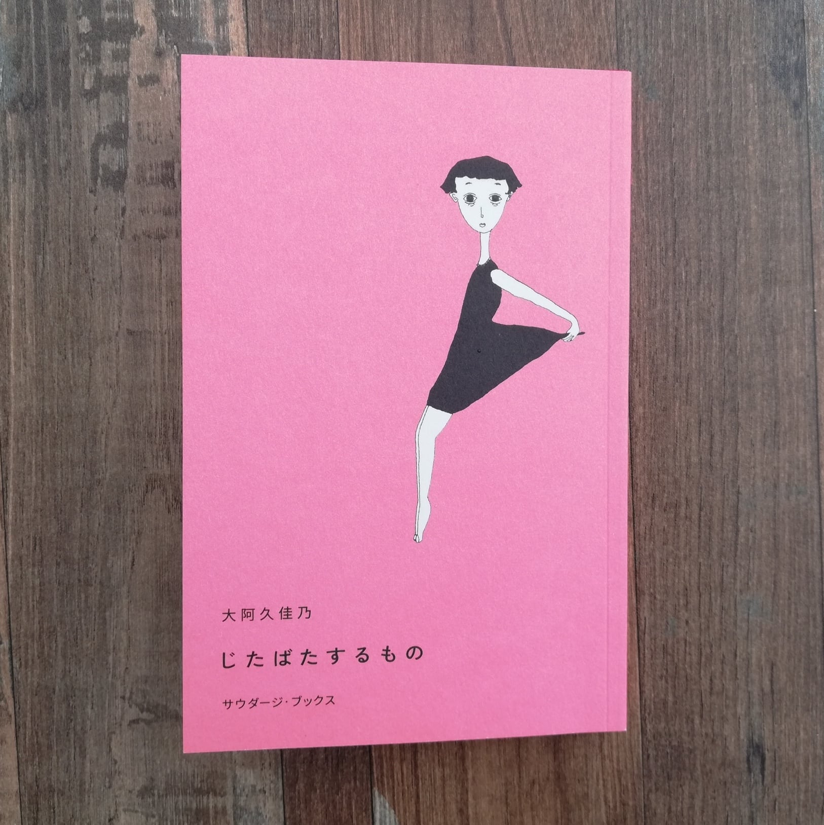 川島小鳥×仲野太賀写真集『（世界）²』※古本※サイン本 | kamebooks