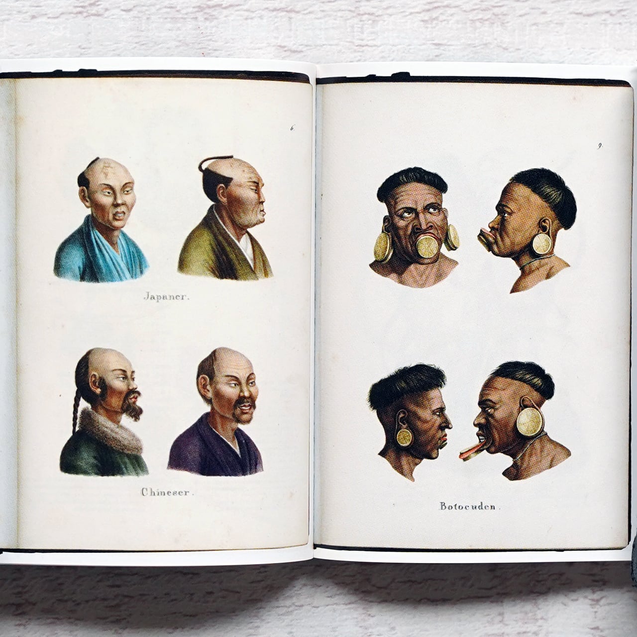 豆本 「博物図譜とデジタルアーカイブ」 武蔵野美術大学 | タイムカプセル