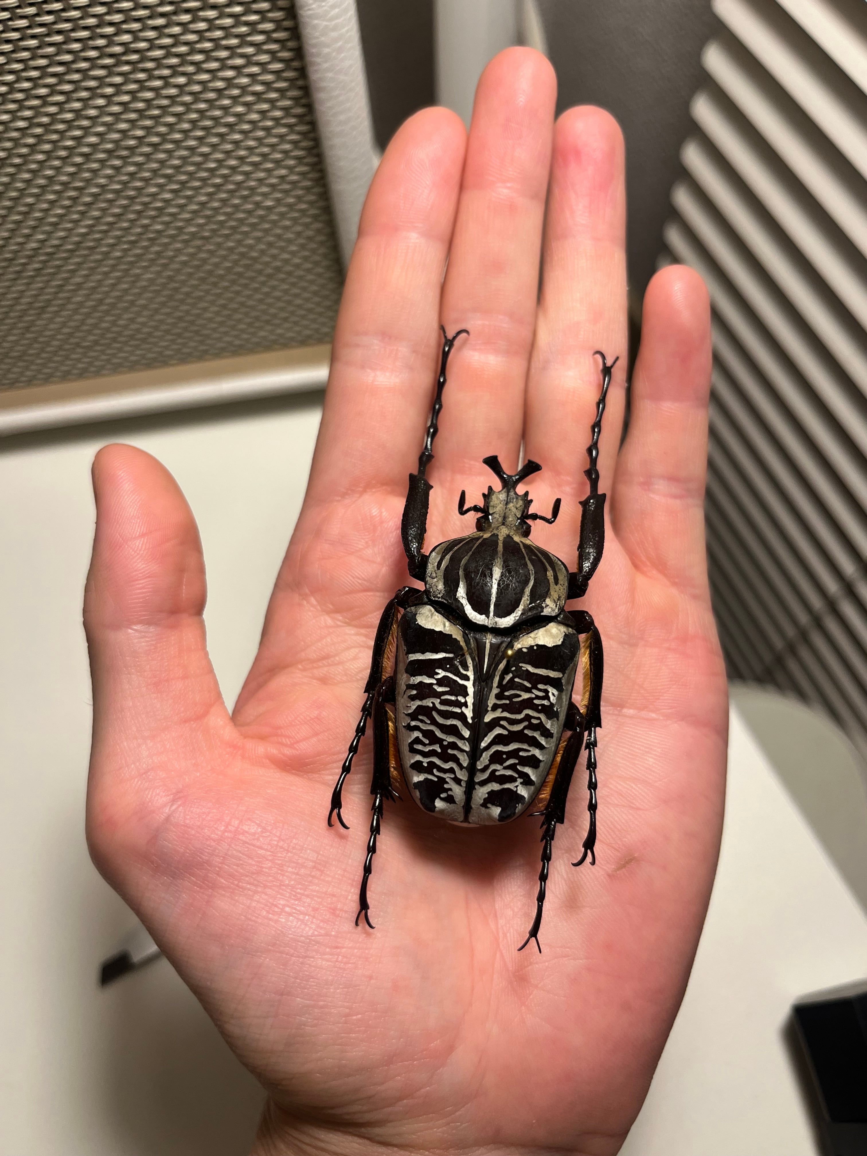 acc7edb3b6323e20cbcdeef6805581