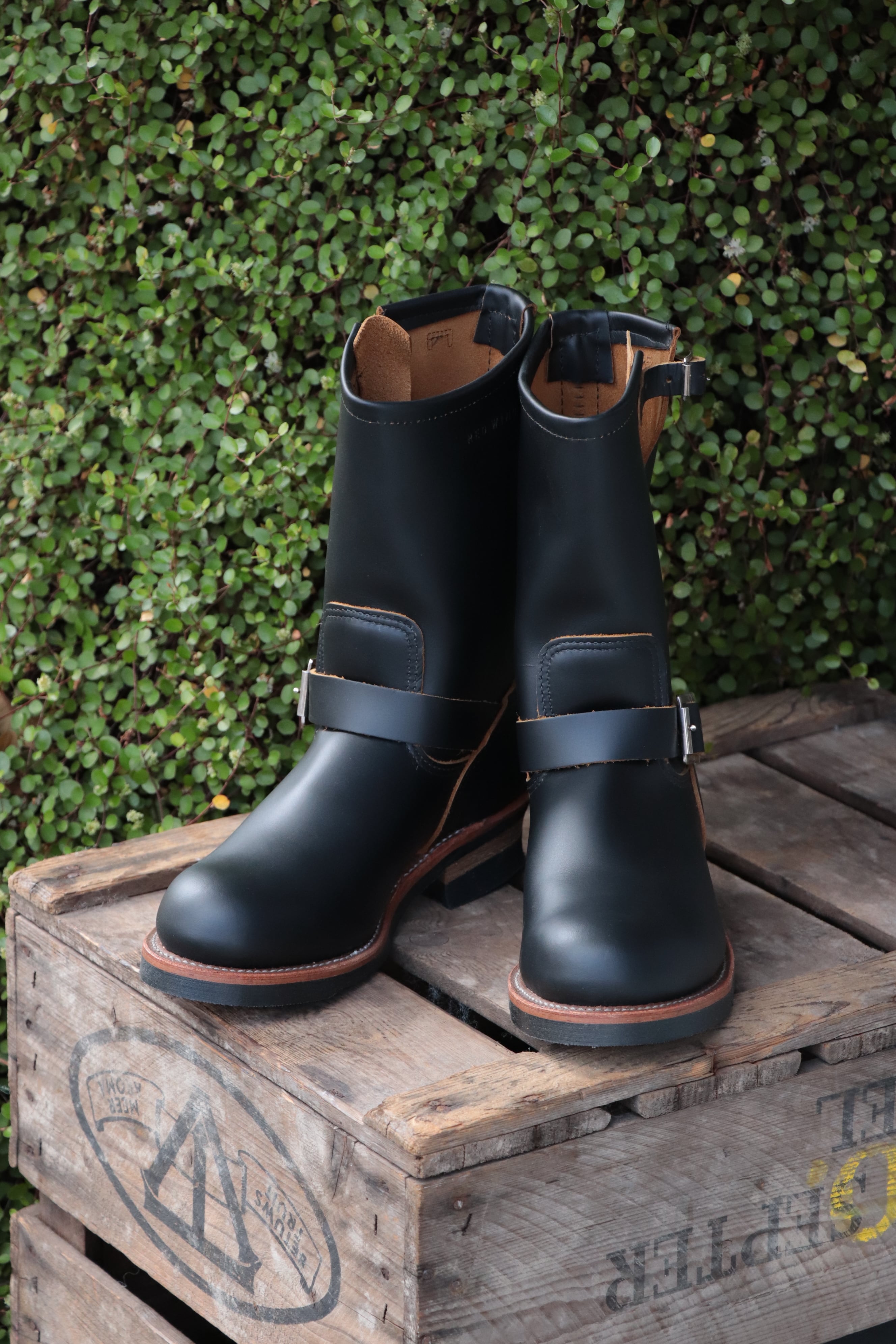 RED WING/レッドウイング 11