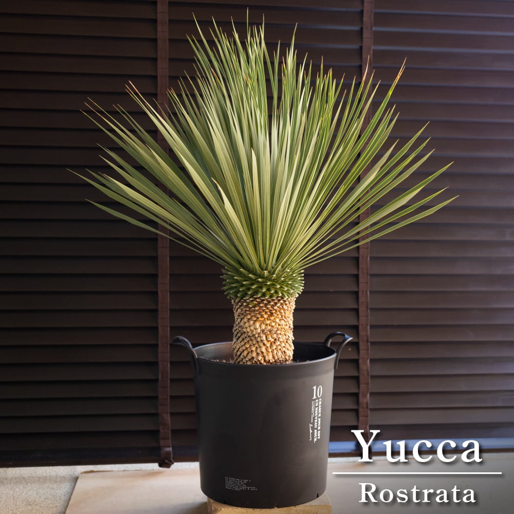 aa3d708196525330b3651b608dc727