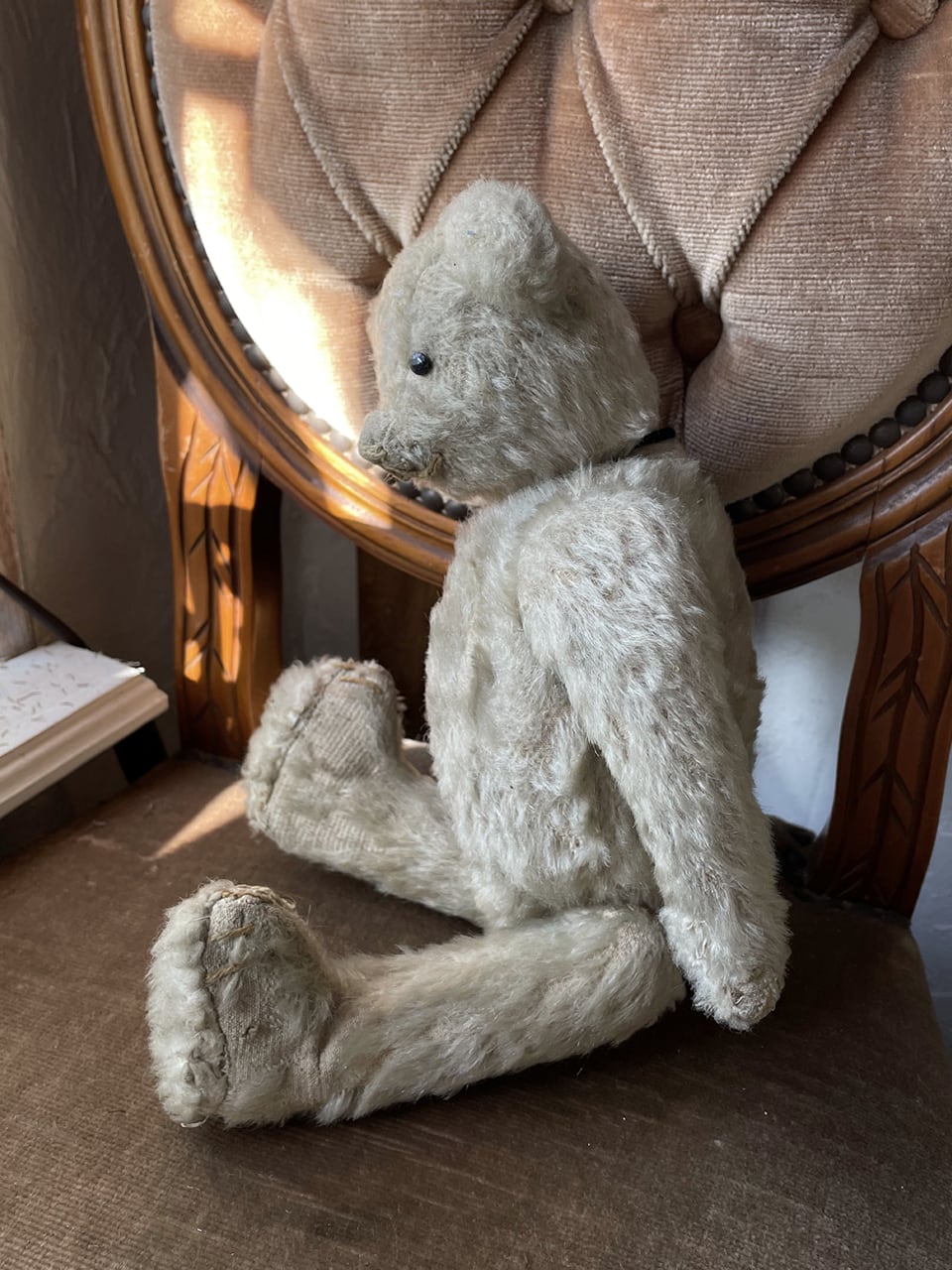 フランスアンティークベア くまぬいぐるみ ベージュ | Brocante de La