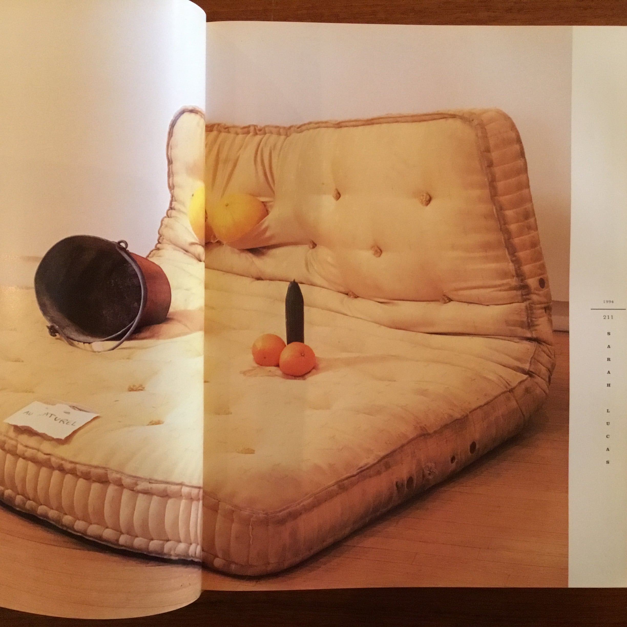 Young British Art: The Saatchi Decade | Flying Books