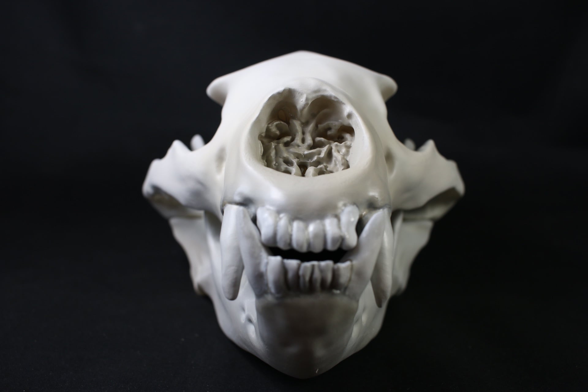 aa942fa731d85e5d5976c80906caa7