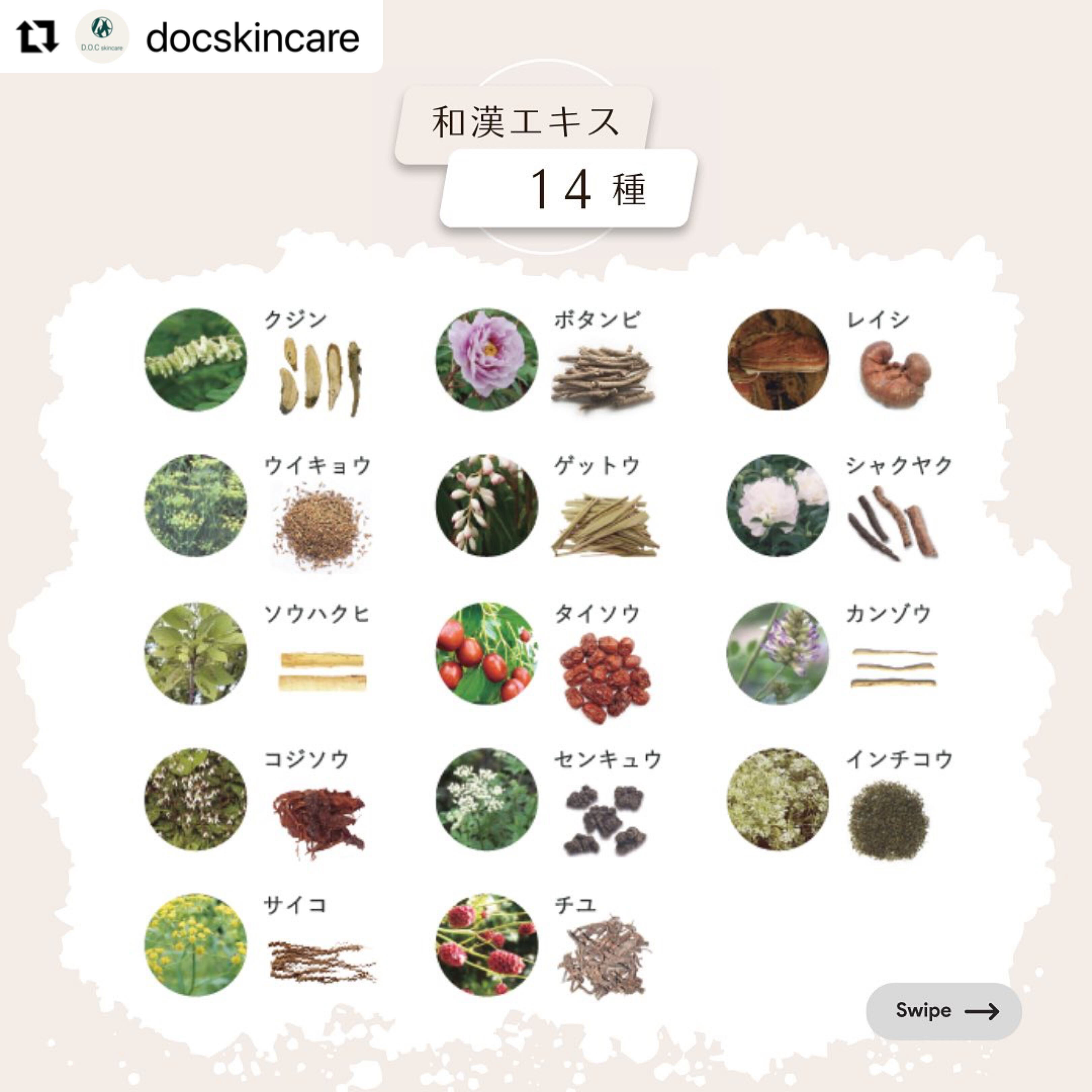 NO4 コンセントレイトセラム 50g（DOCスキンケア） | Bow