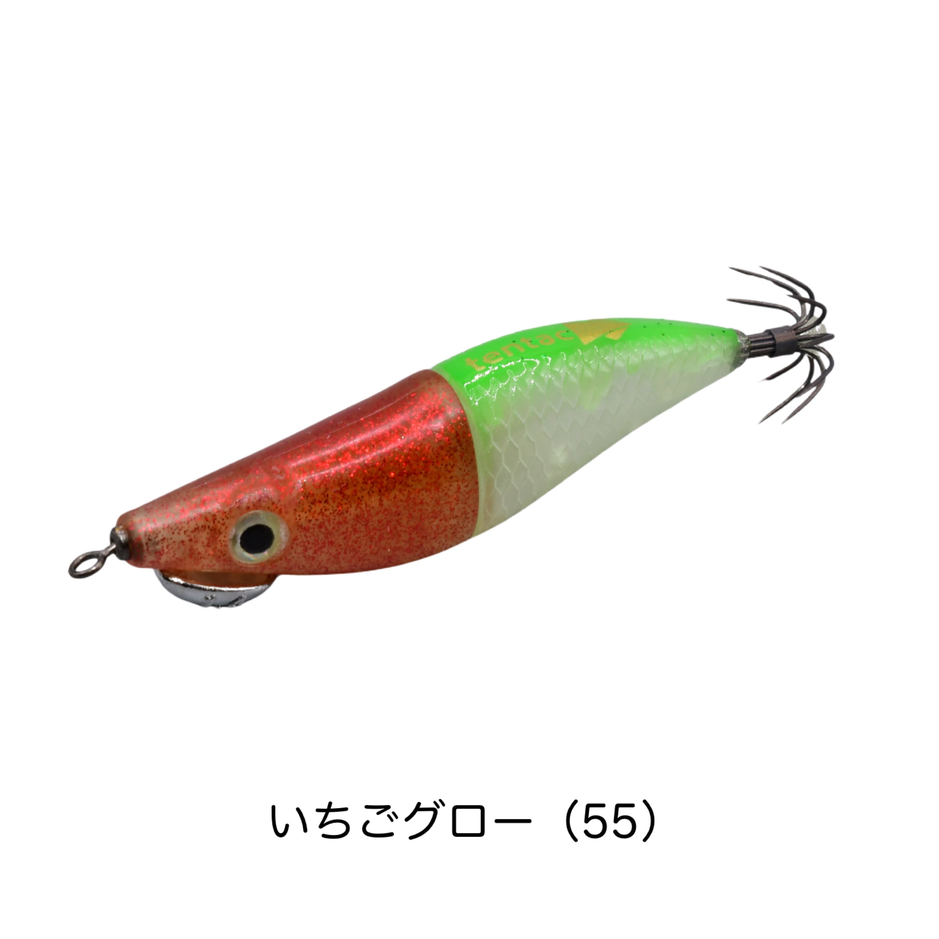 テンタコ55 | ZinBay