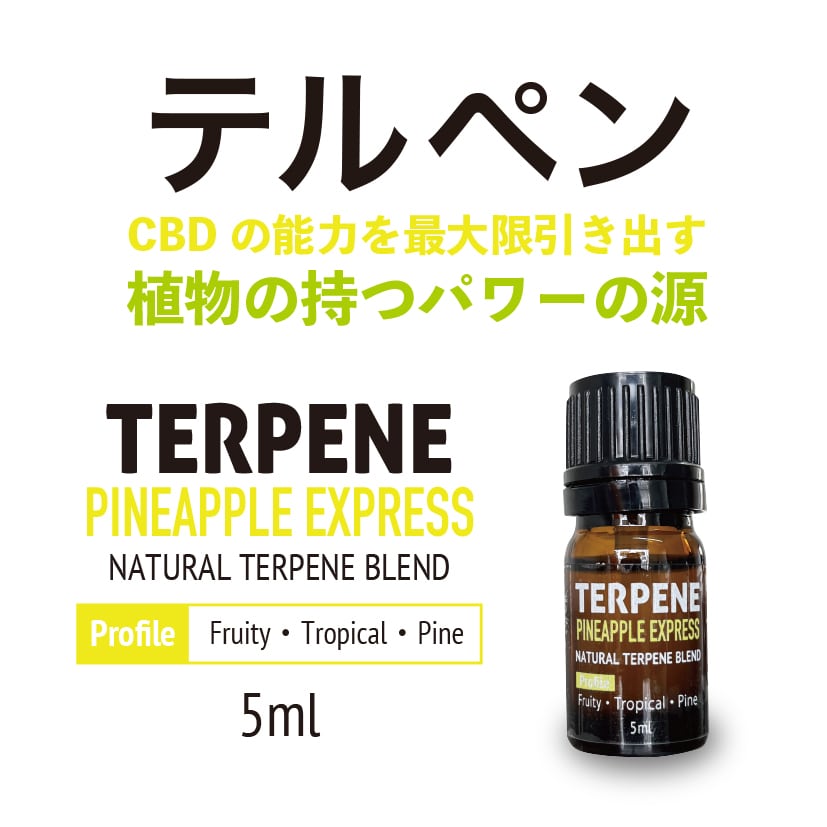 TRUE テルペン 510 CBD CBN CBG 10ml ブルーベリーヘイズ TRUE