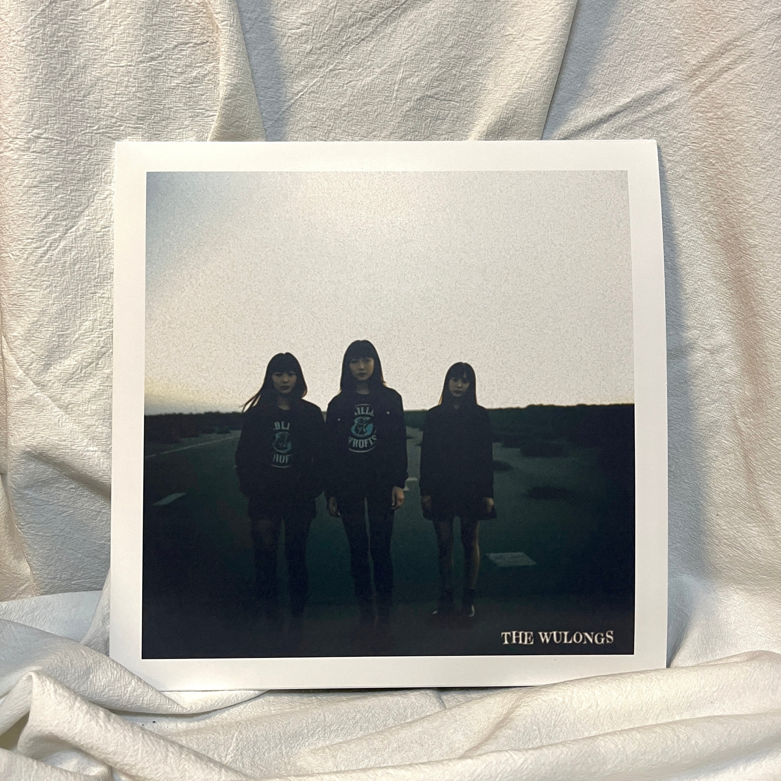 特典】the Wulongs / Videodrome (Black Vinyl) | The Domestic